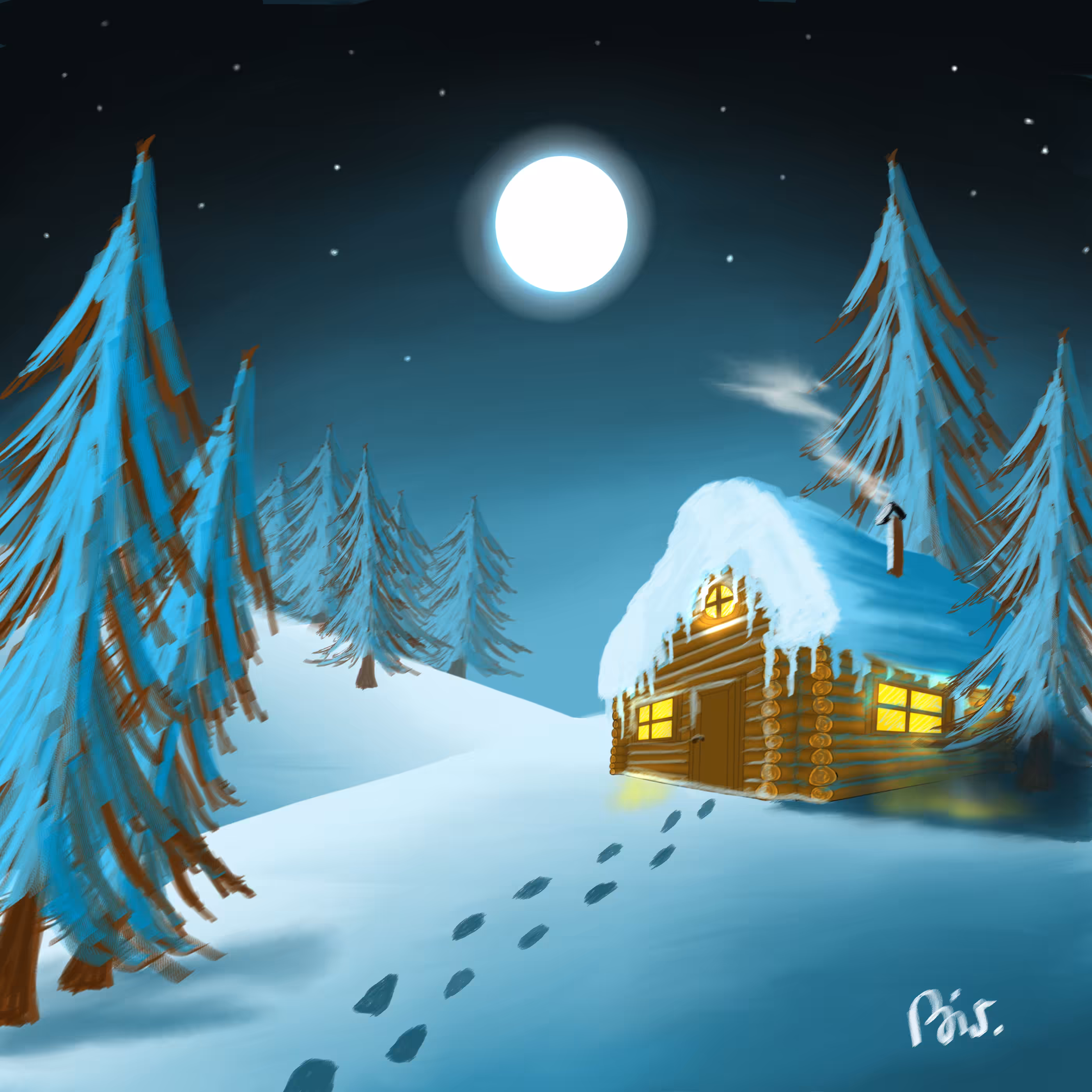 Moonlight in the Snow
