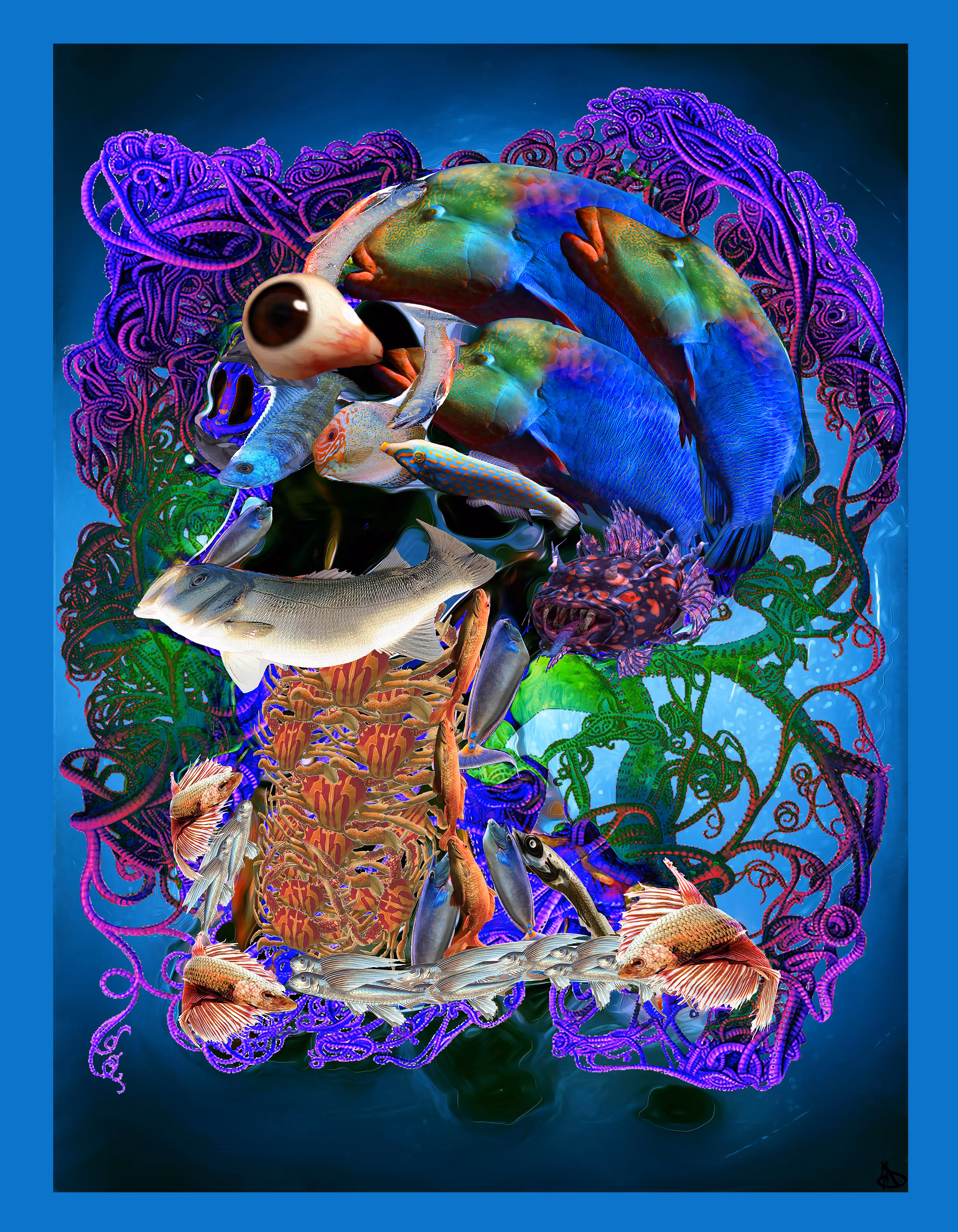 FISH HEAD