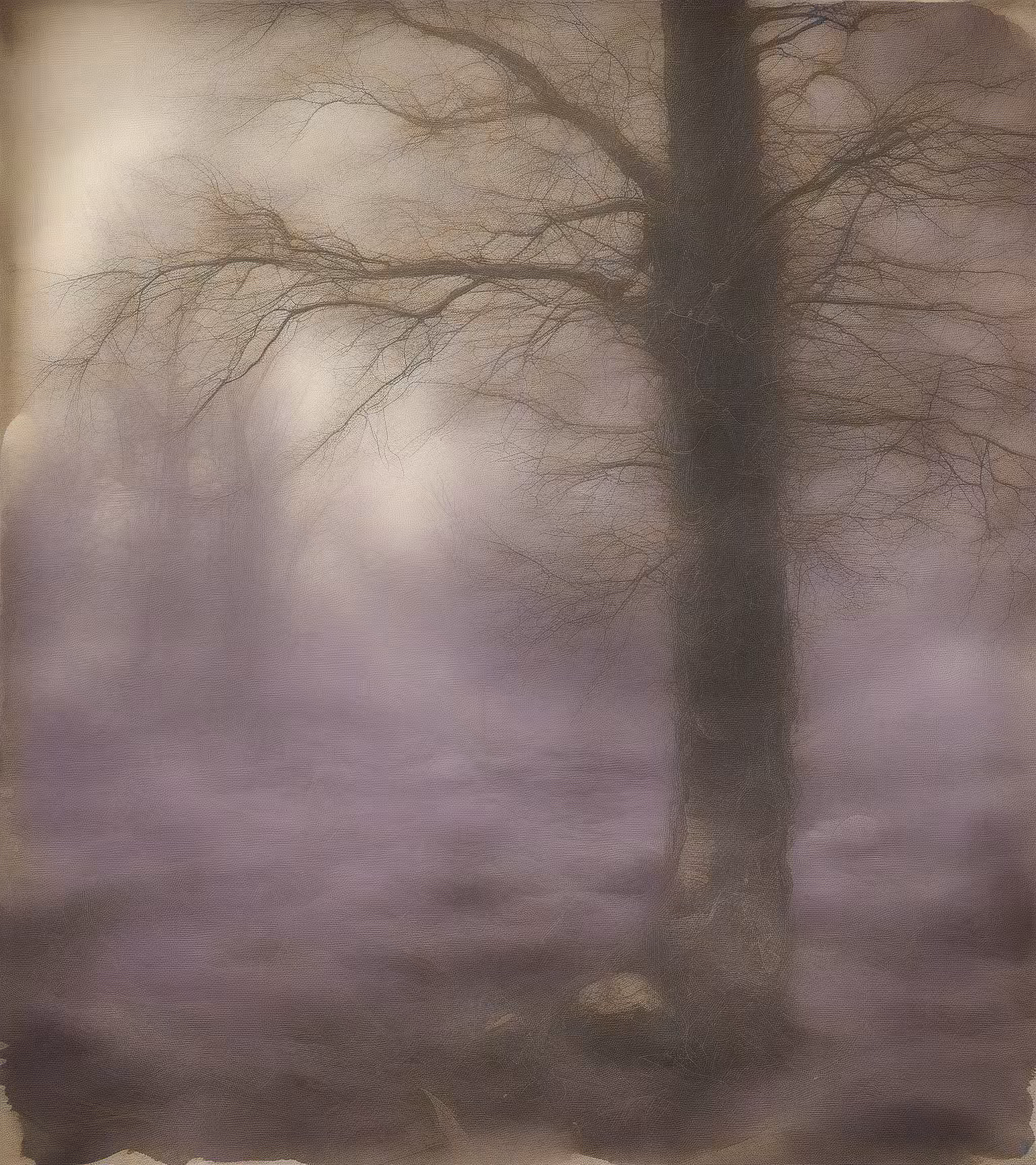 Tree Studies
