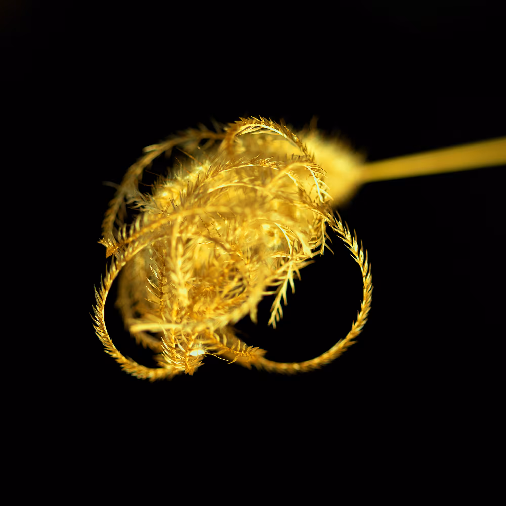 Think gold