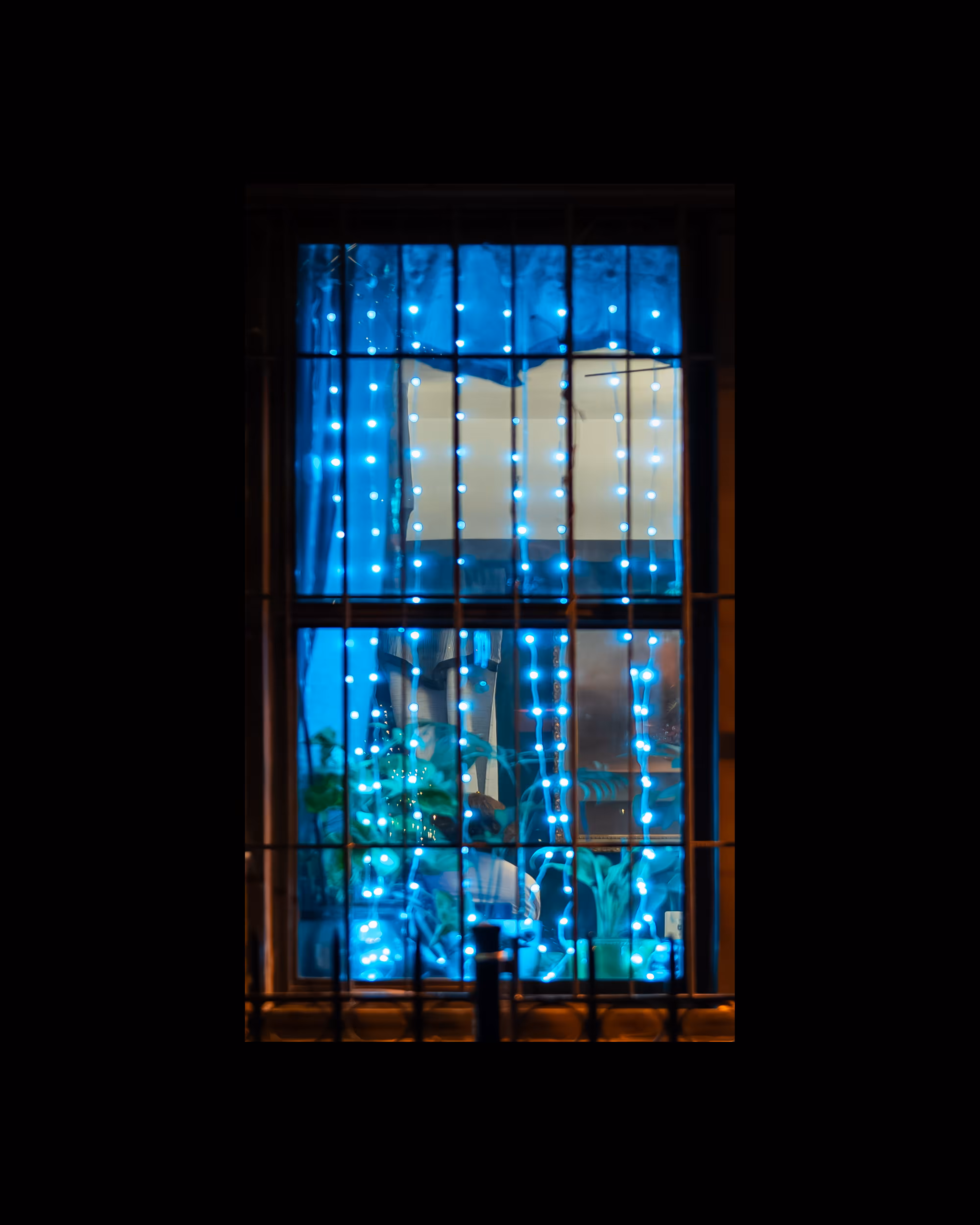 WINDOW 220
