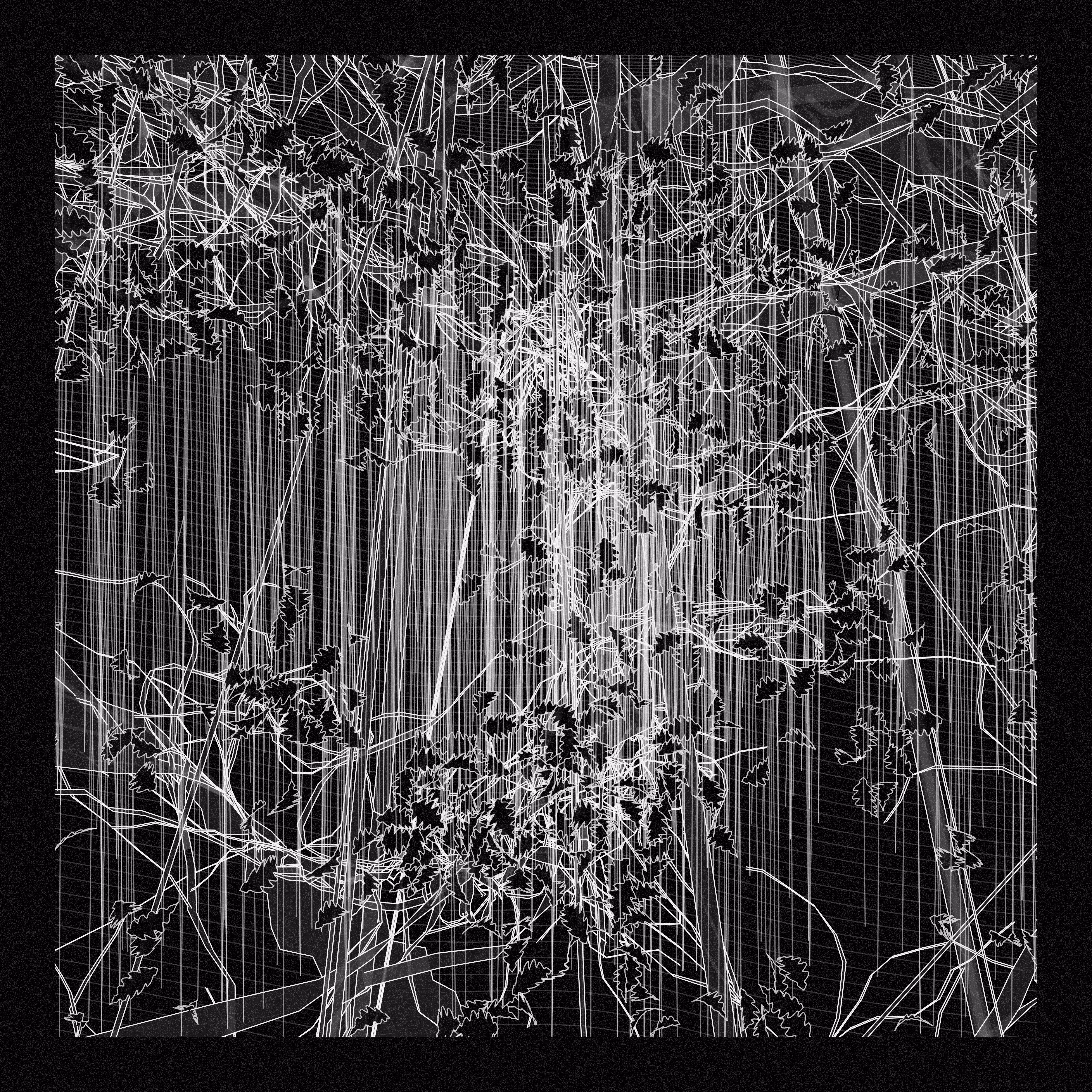 A Bugged Forest #61