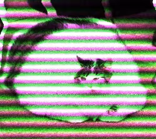 massive glitched cat