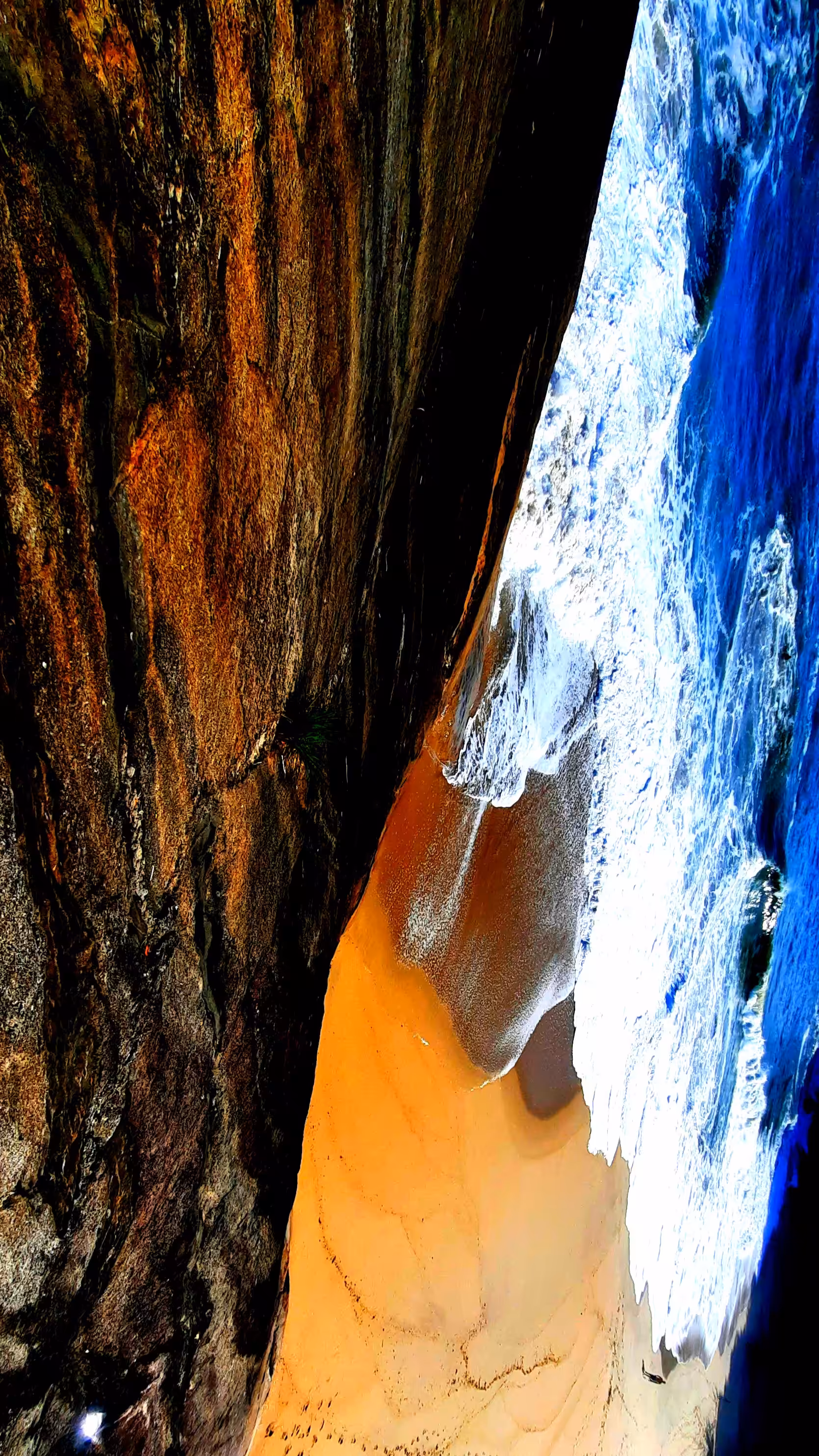 Distorted-Nature#1
