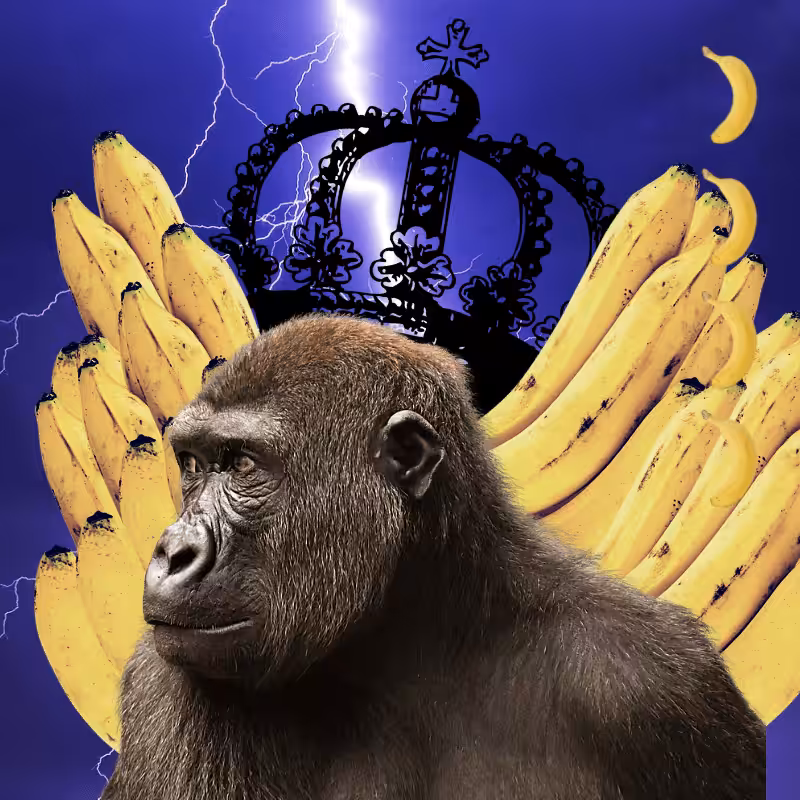 Banana gods #63