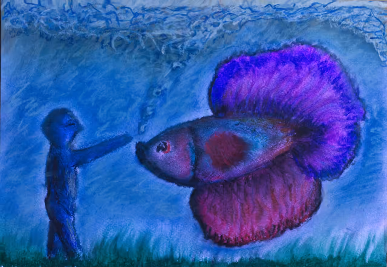 betta world