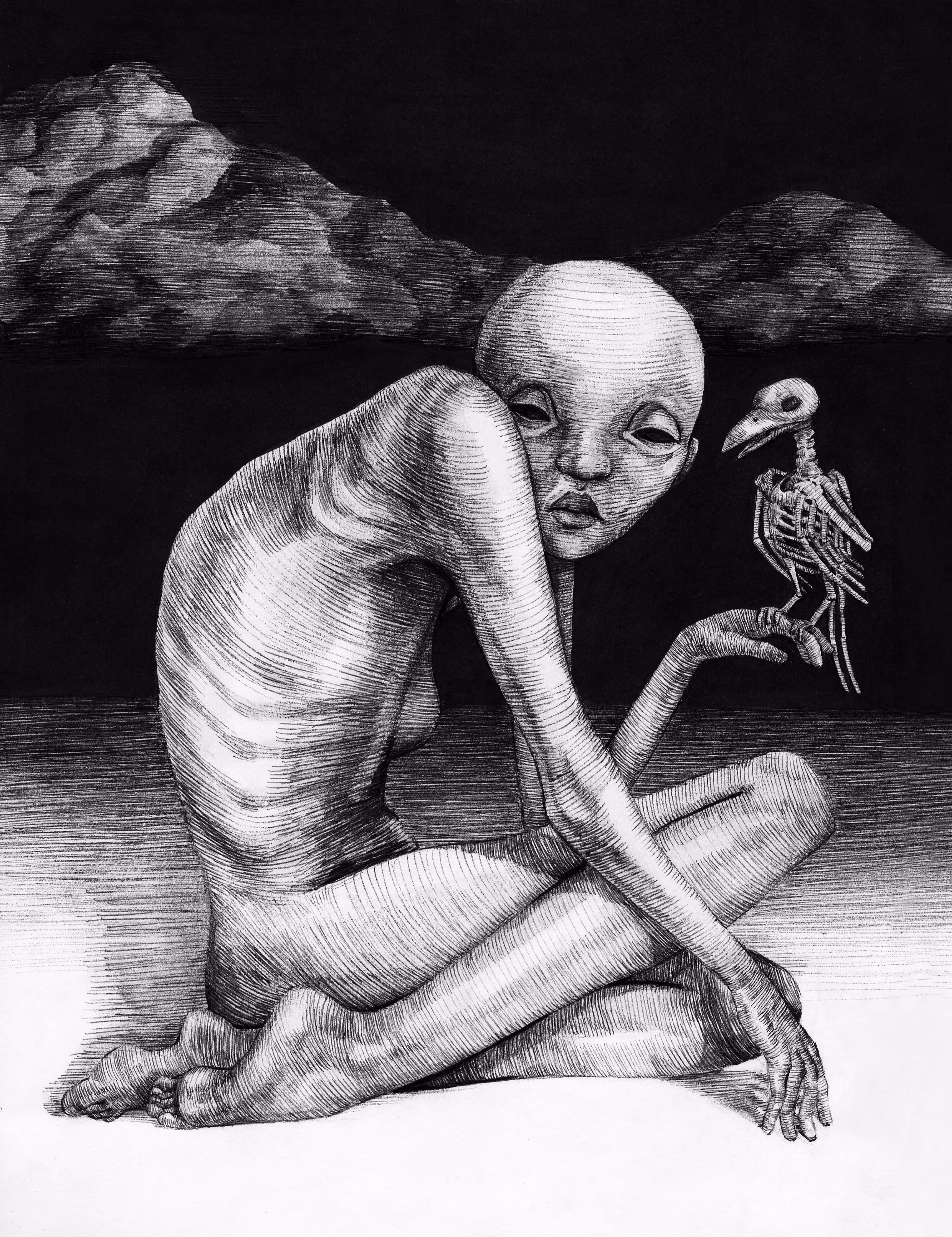 The Crow