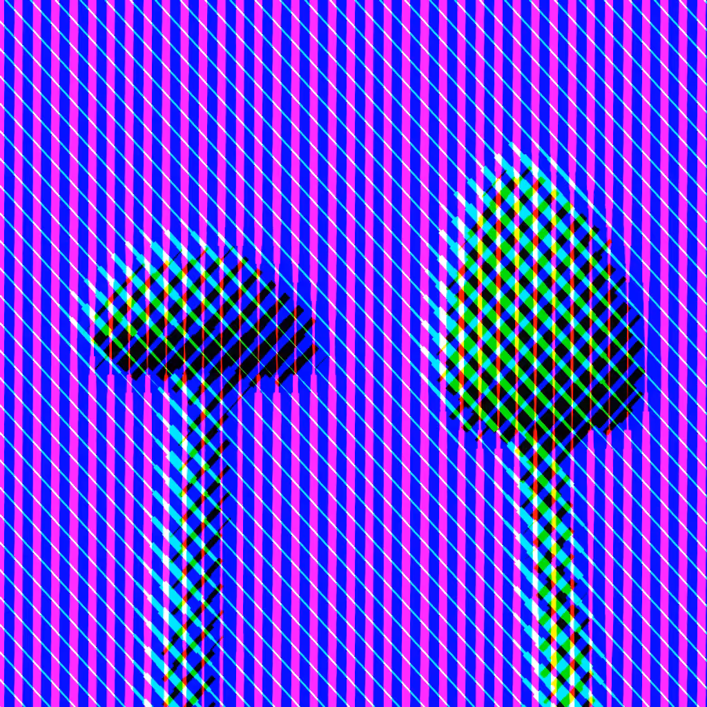 Psilocybe Azurescens #56