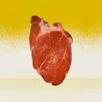 Second heart / Segundo corazón