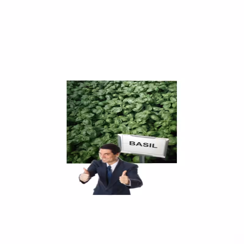 ART BASIL 2022 #65