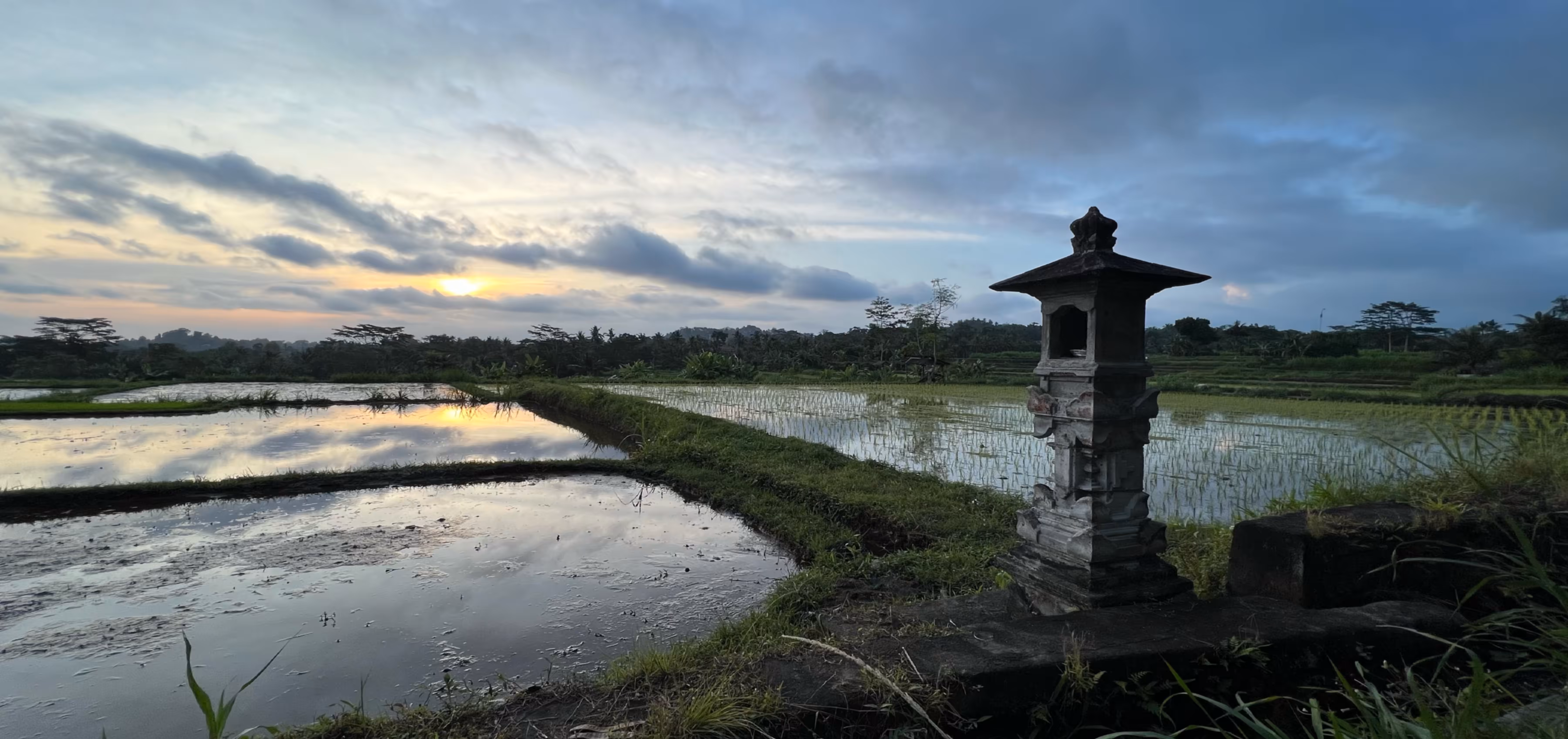 Sunset at the Rice-Fields 