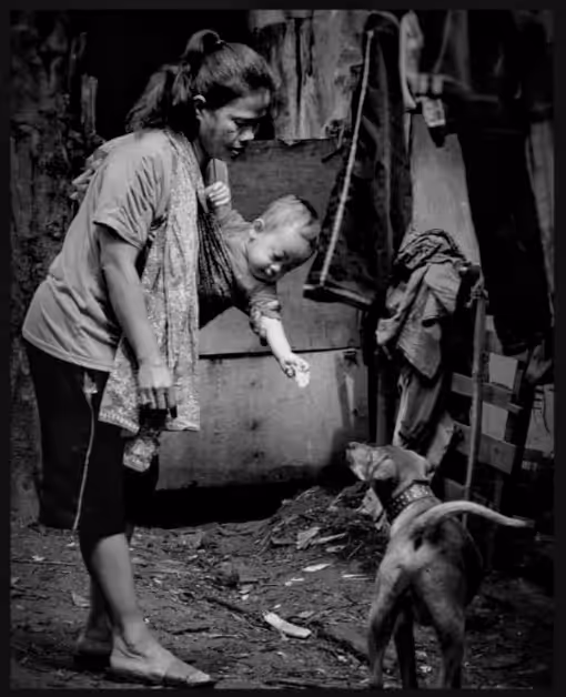 Feed Dog
