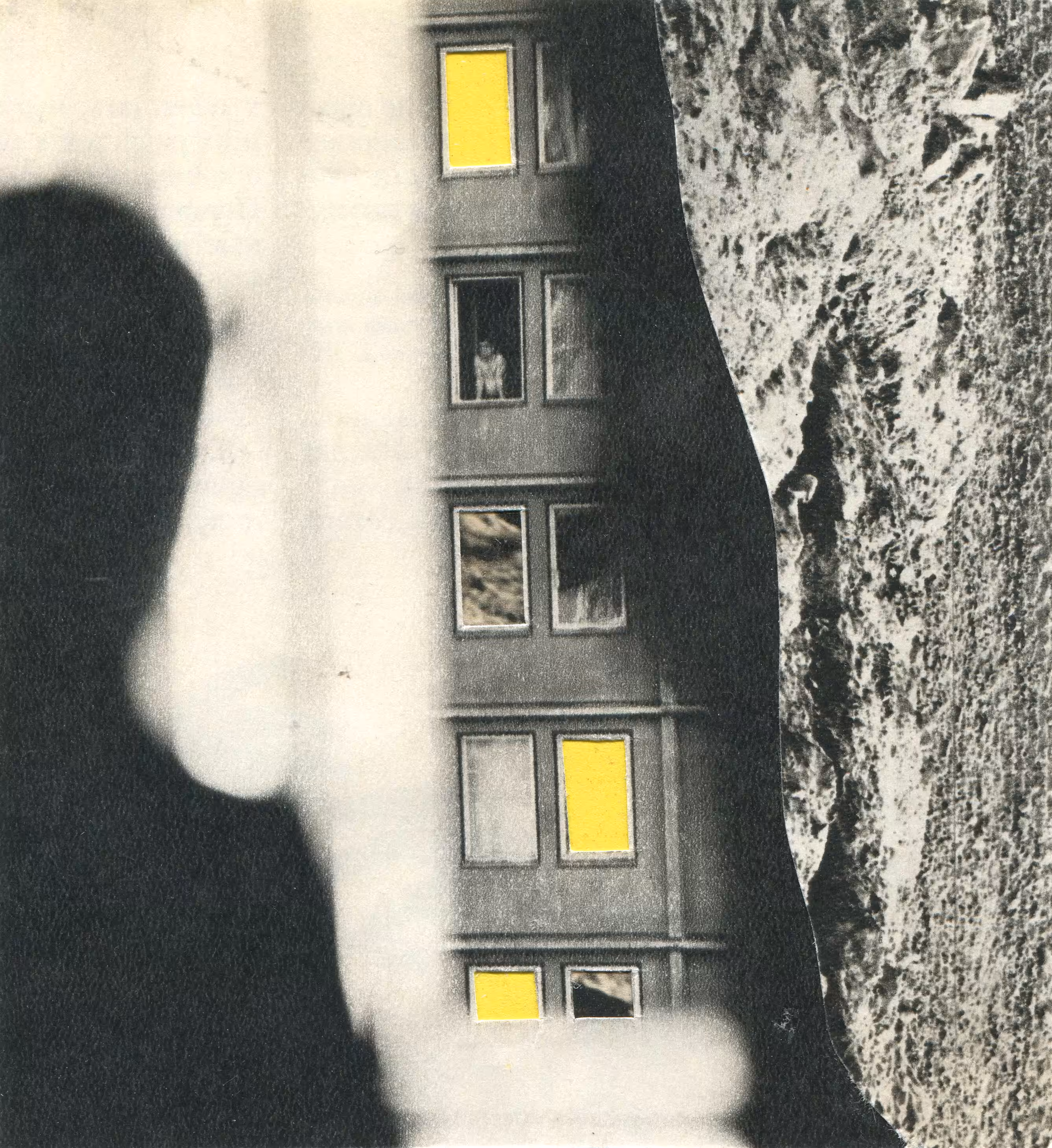 Observer