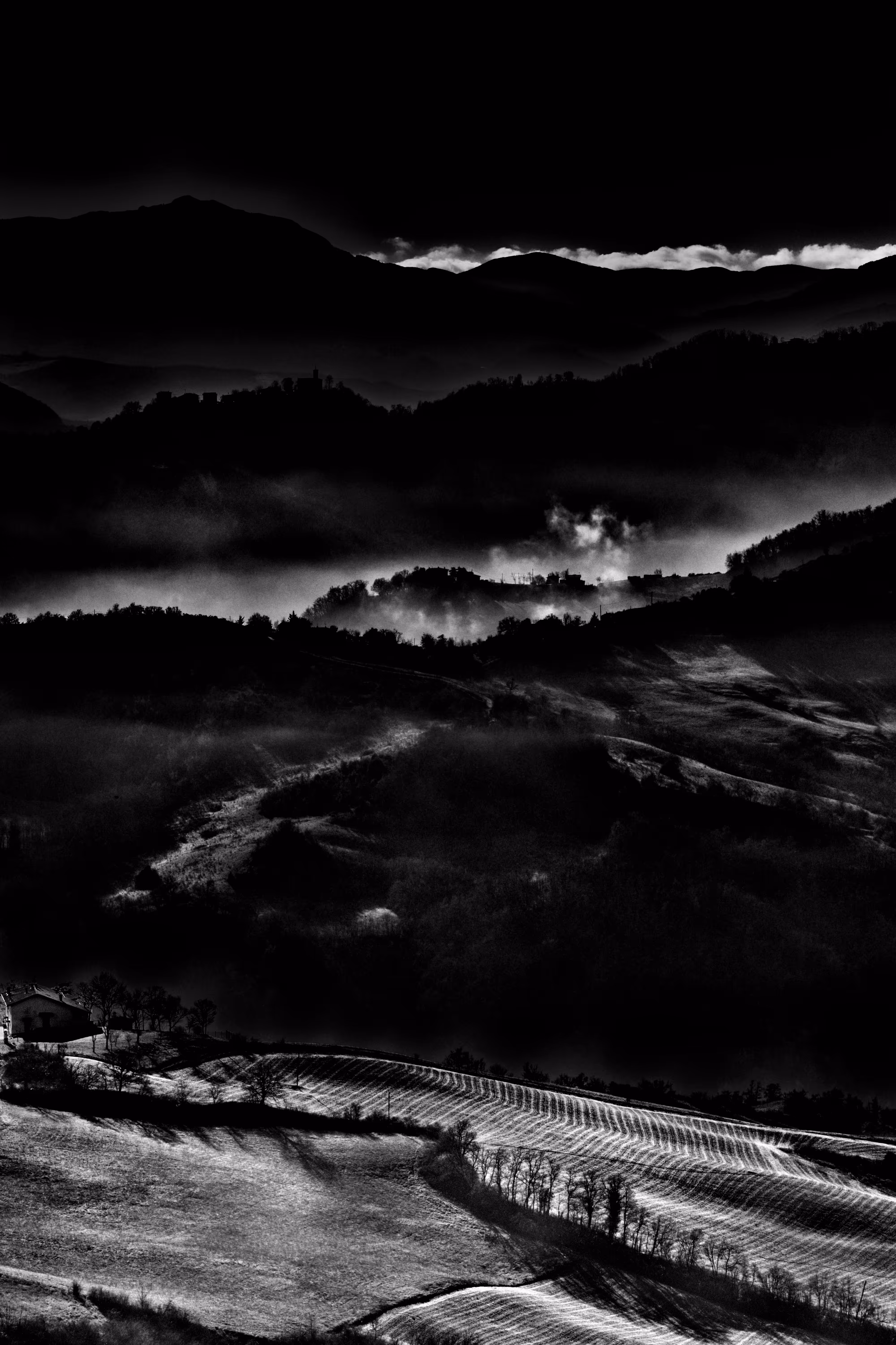 THE KISS OF THE FOG