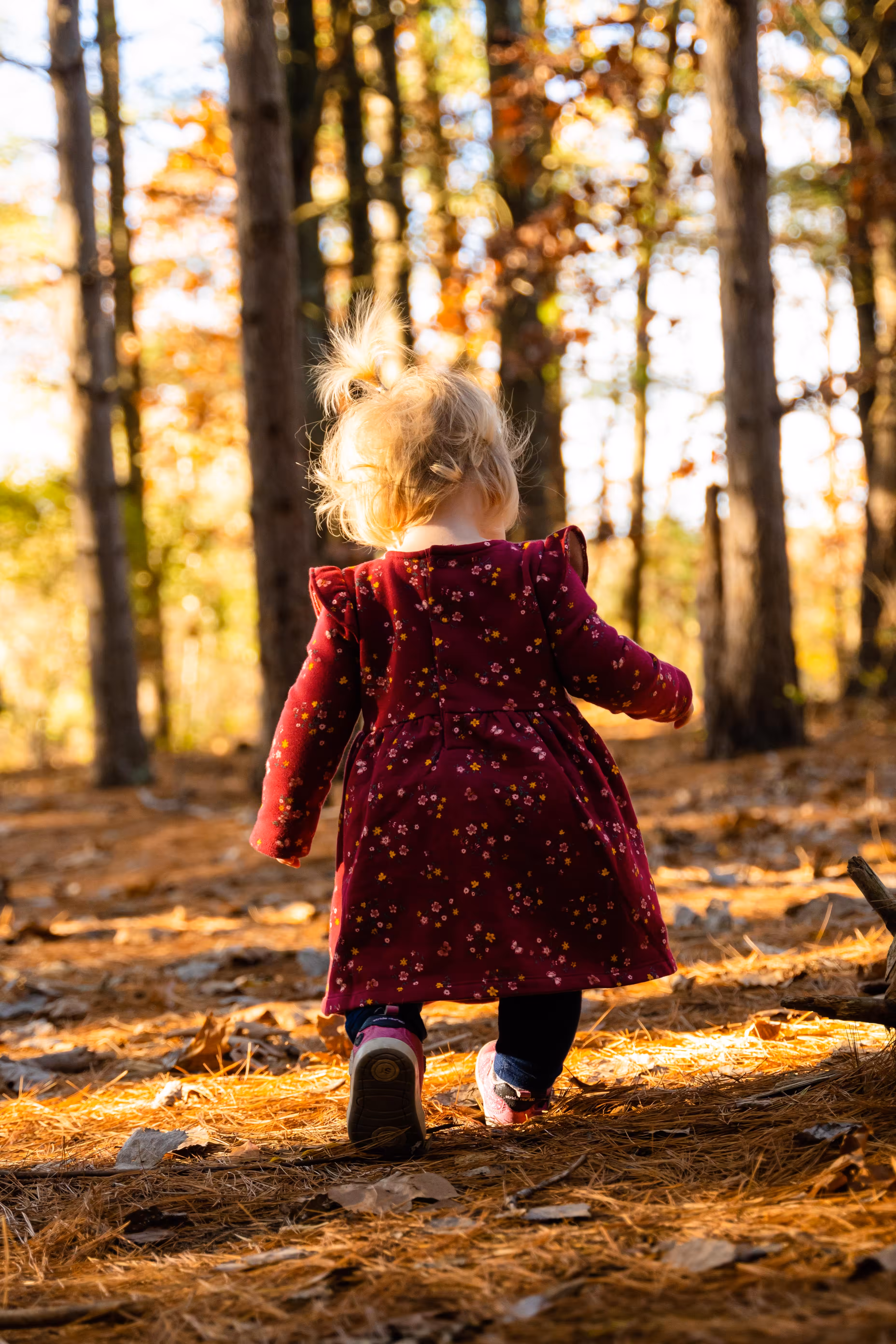 She Was Born to Explore