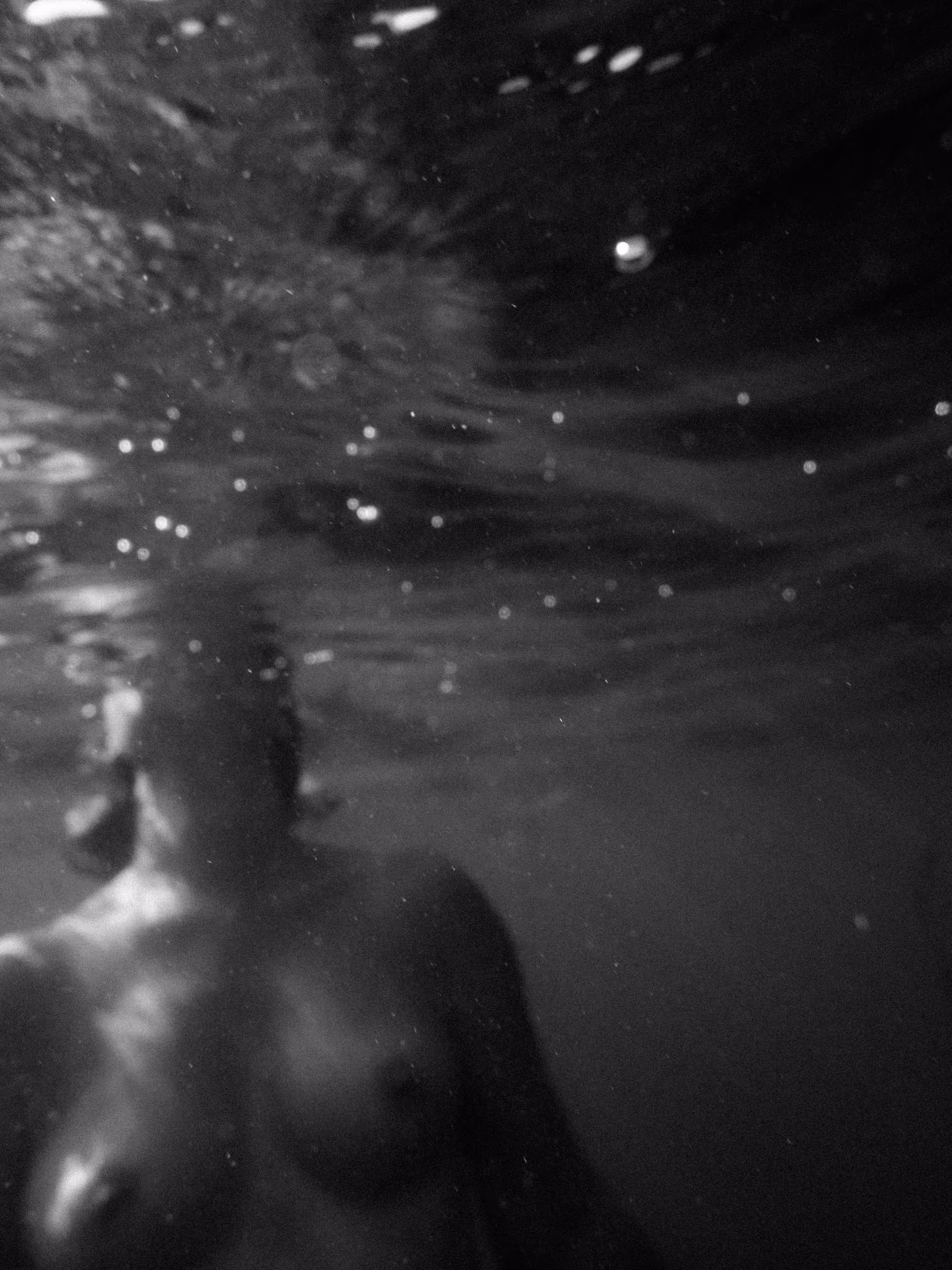 Underwater - nude Swimming