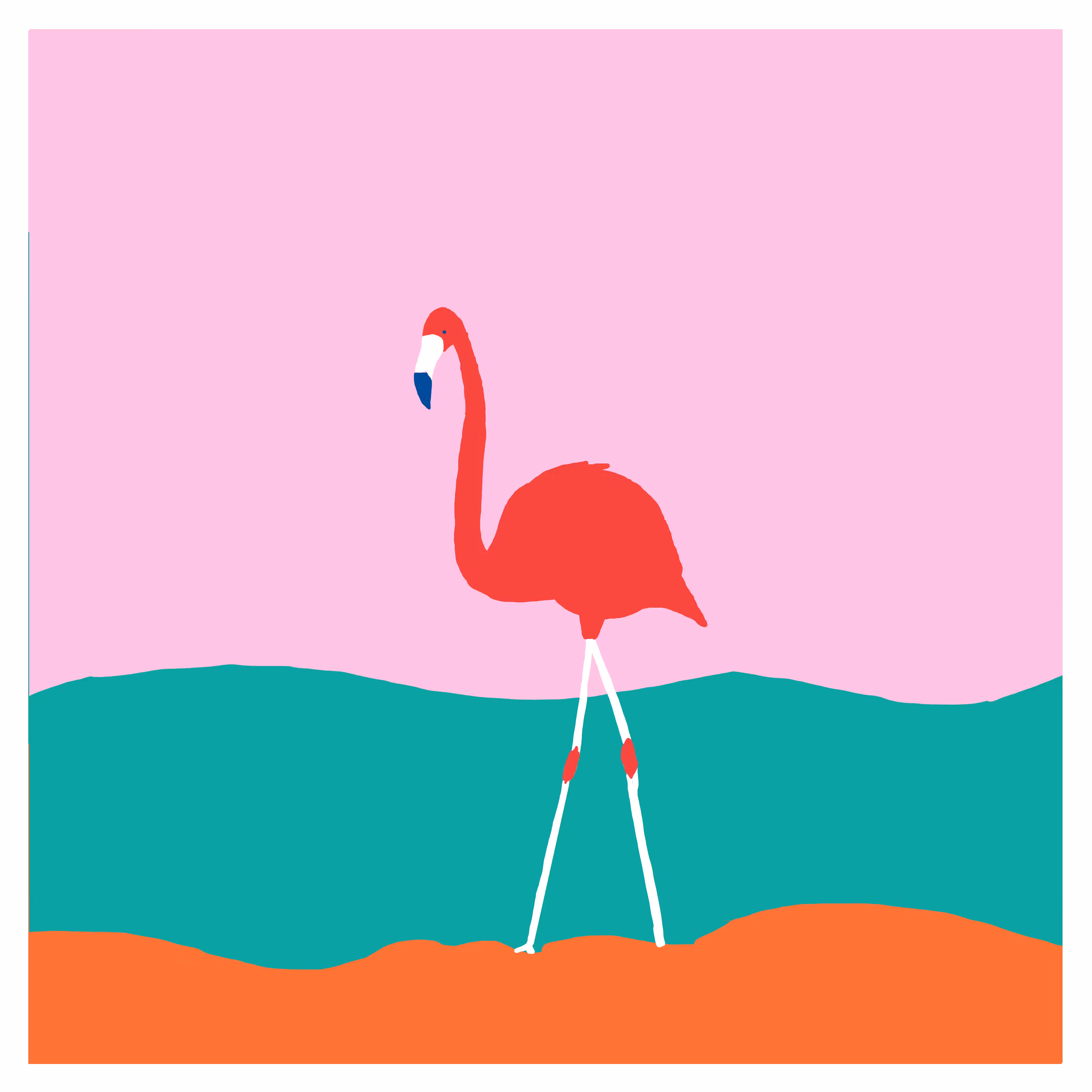 Phoenicopteridae