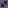 Gradient Study #1