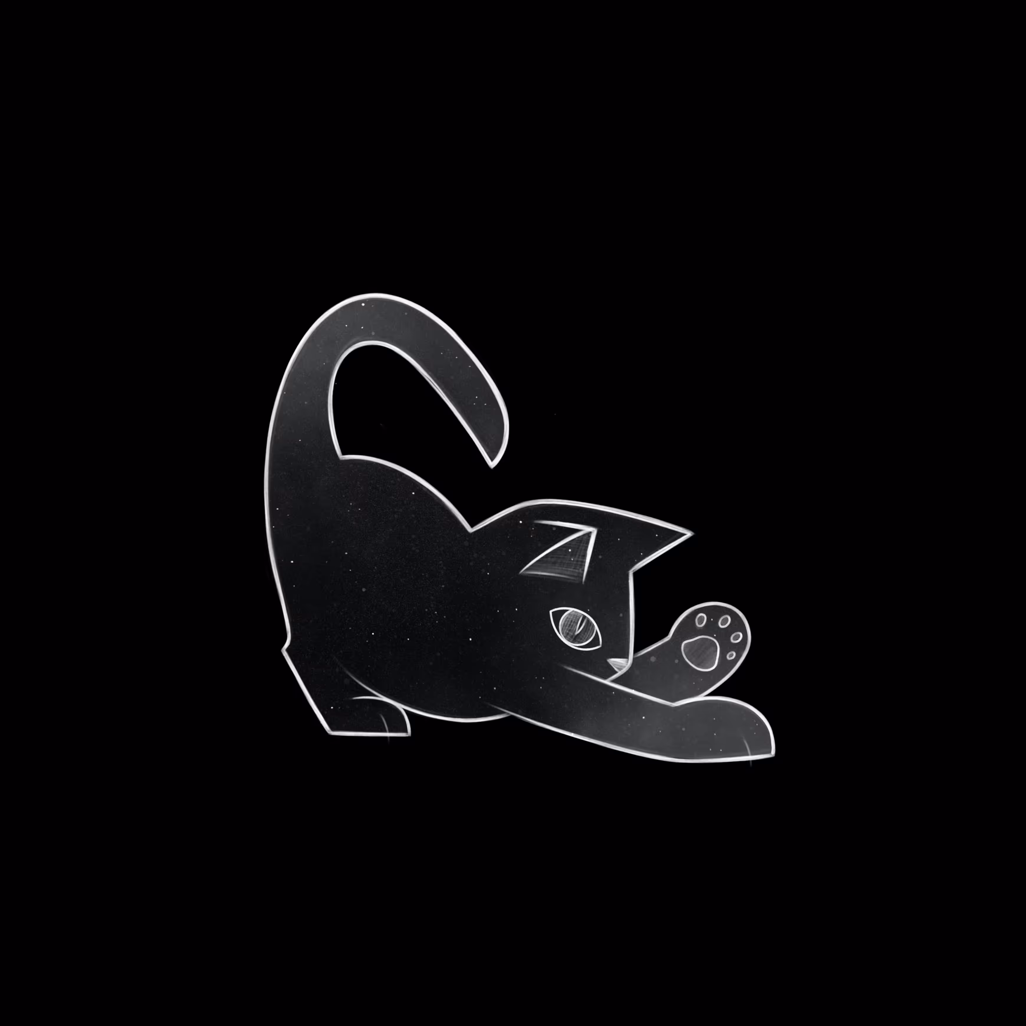 Cat / 5