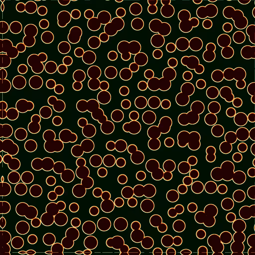 Bacterias #50