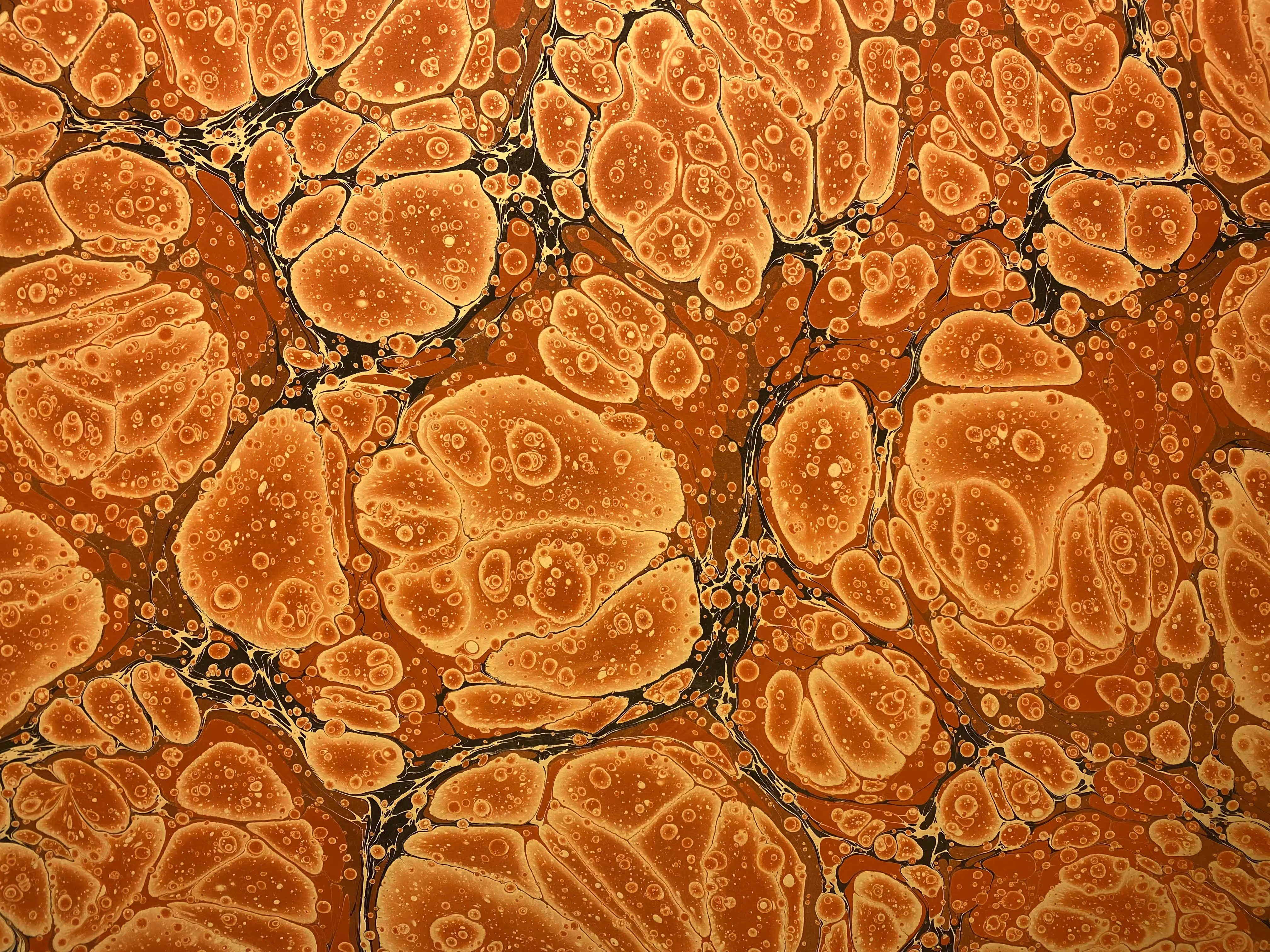 Battal Ebrû / Marbling Art #15