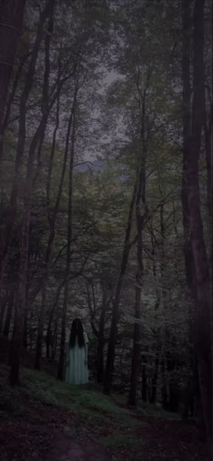 “Shadows of Abbas Abad”