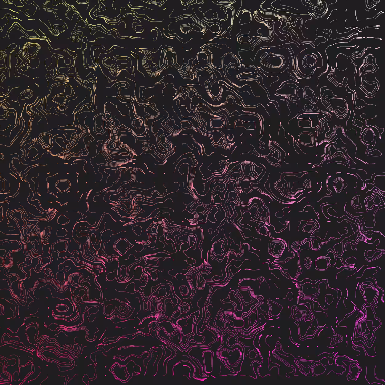 Topographic Lines #29