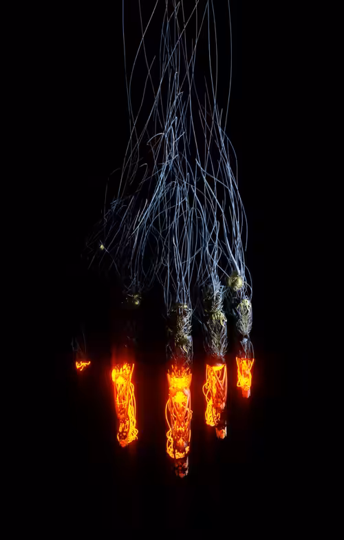 The Suffering Of Nature