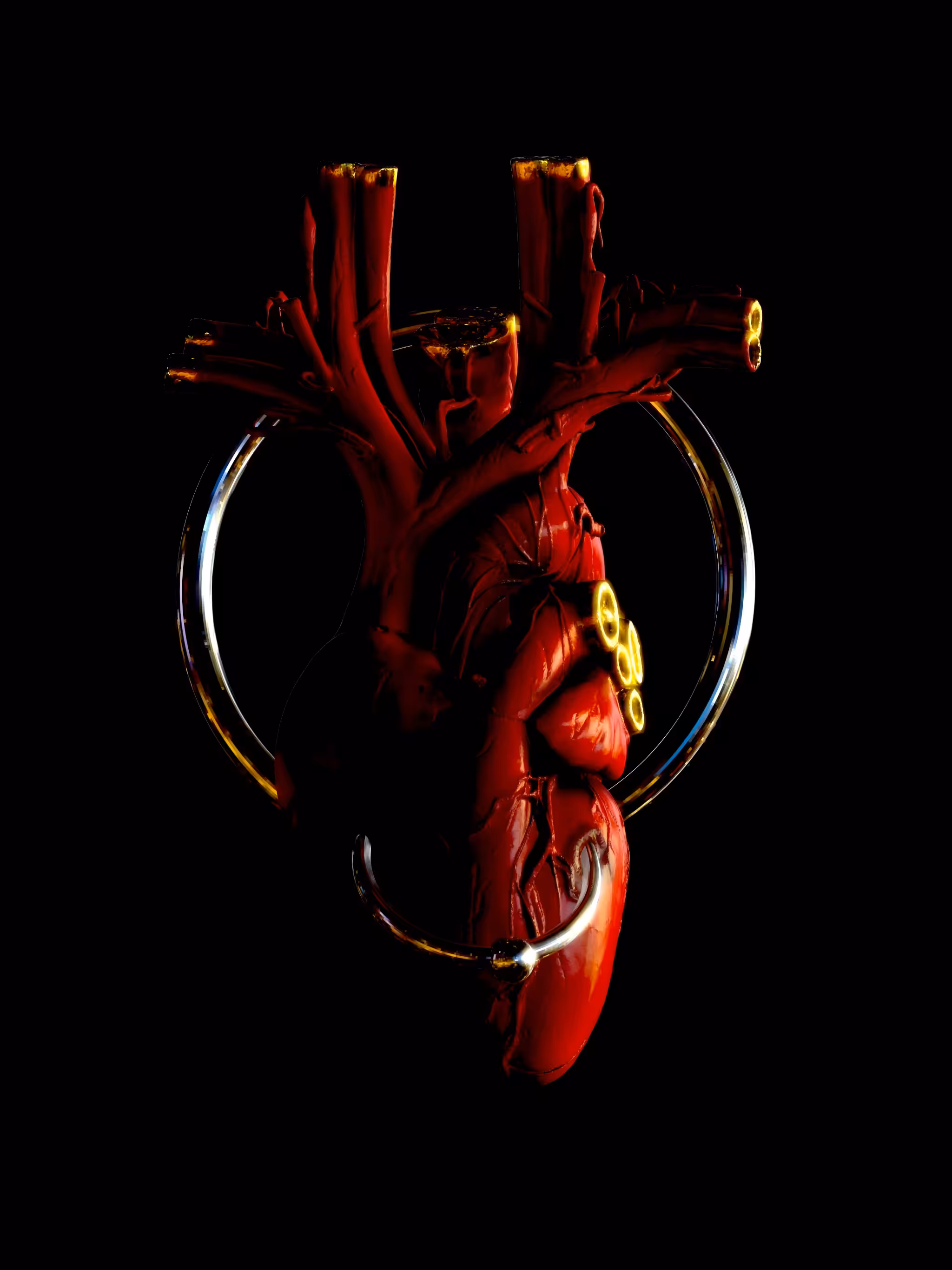 heart 
