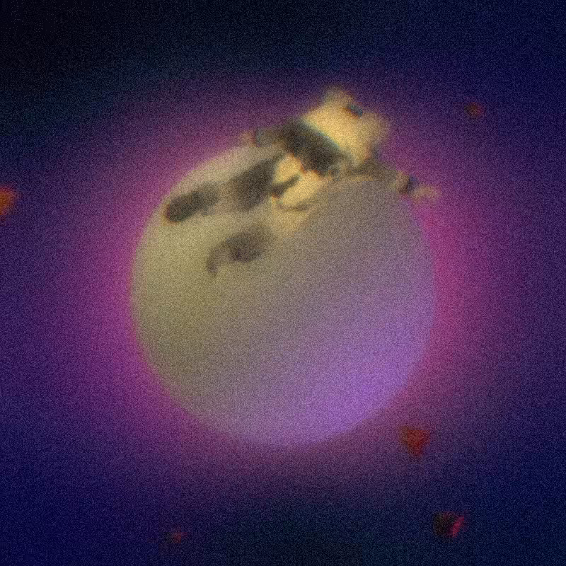 ORBITS #7
