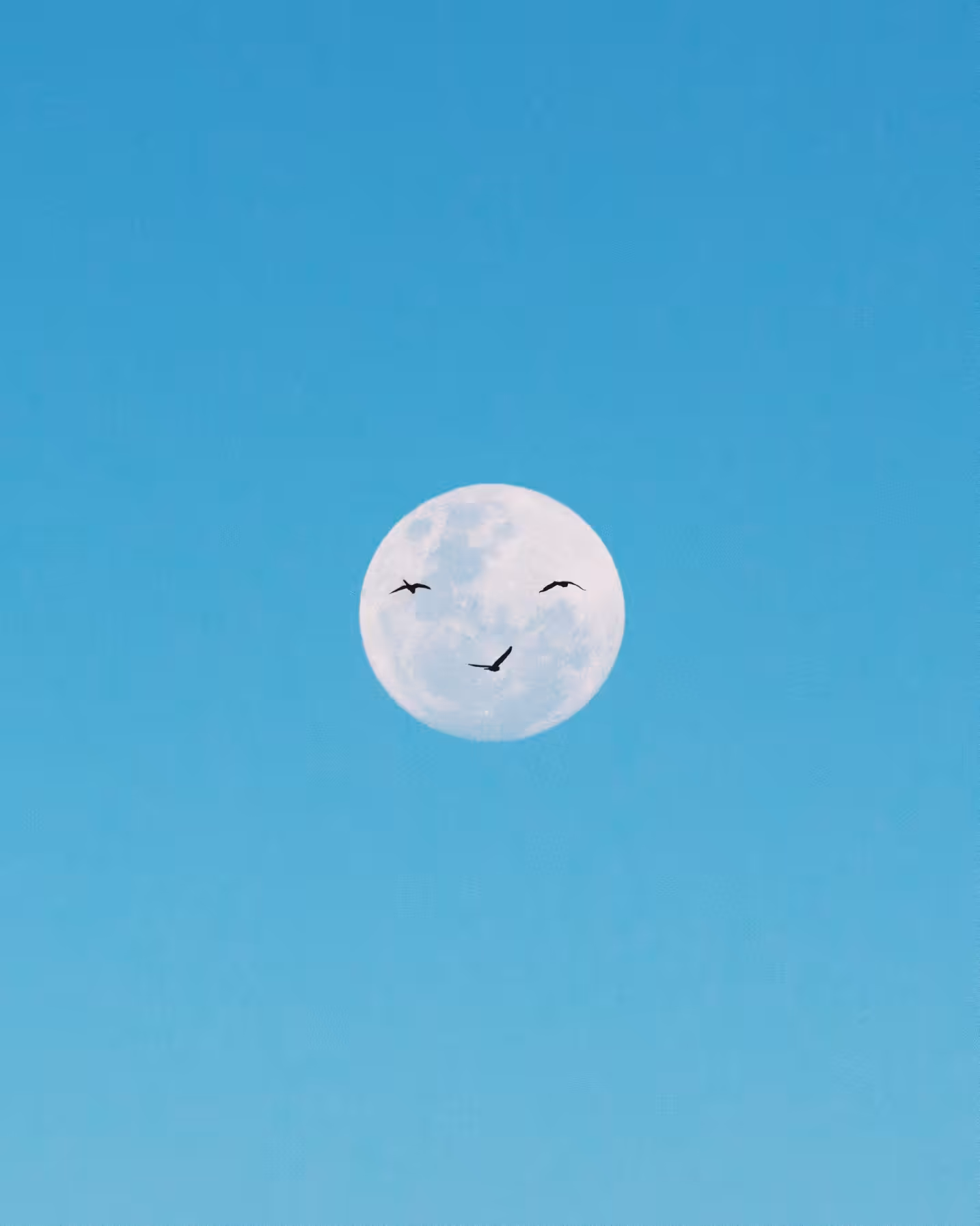 My Moons and Stars #7