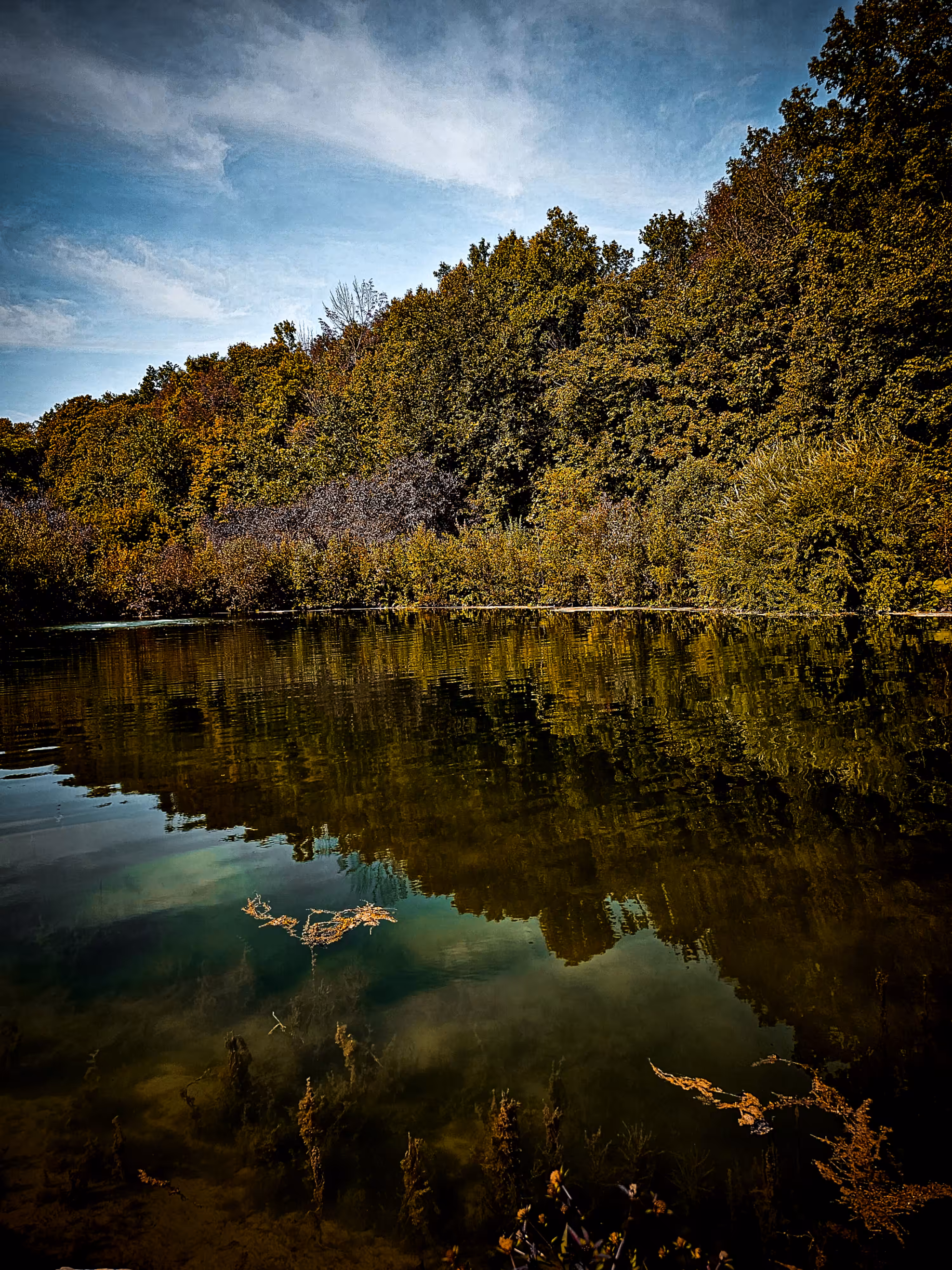Reflection #01