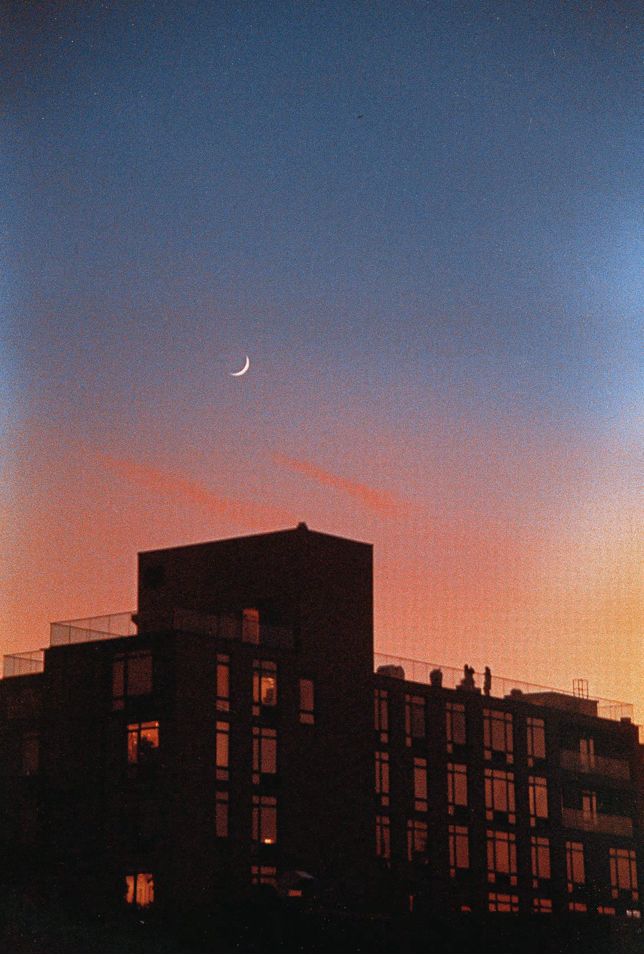 #20