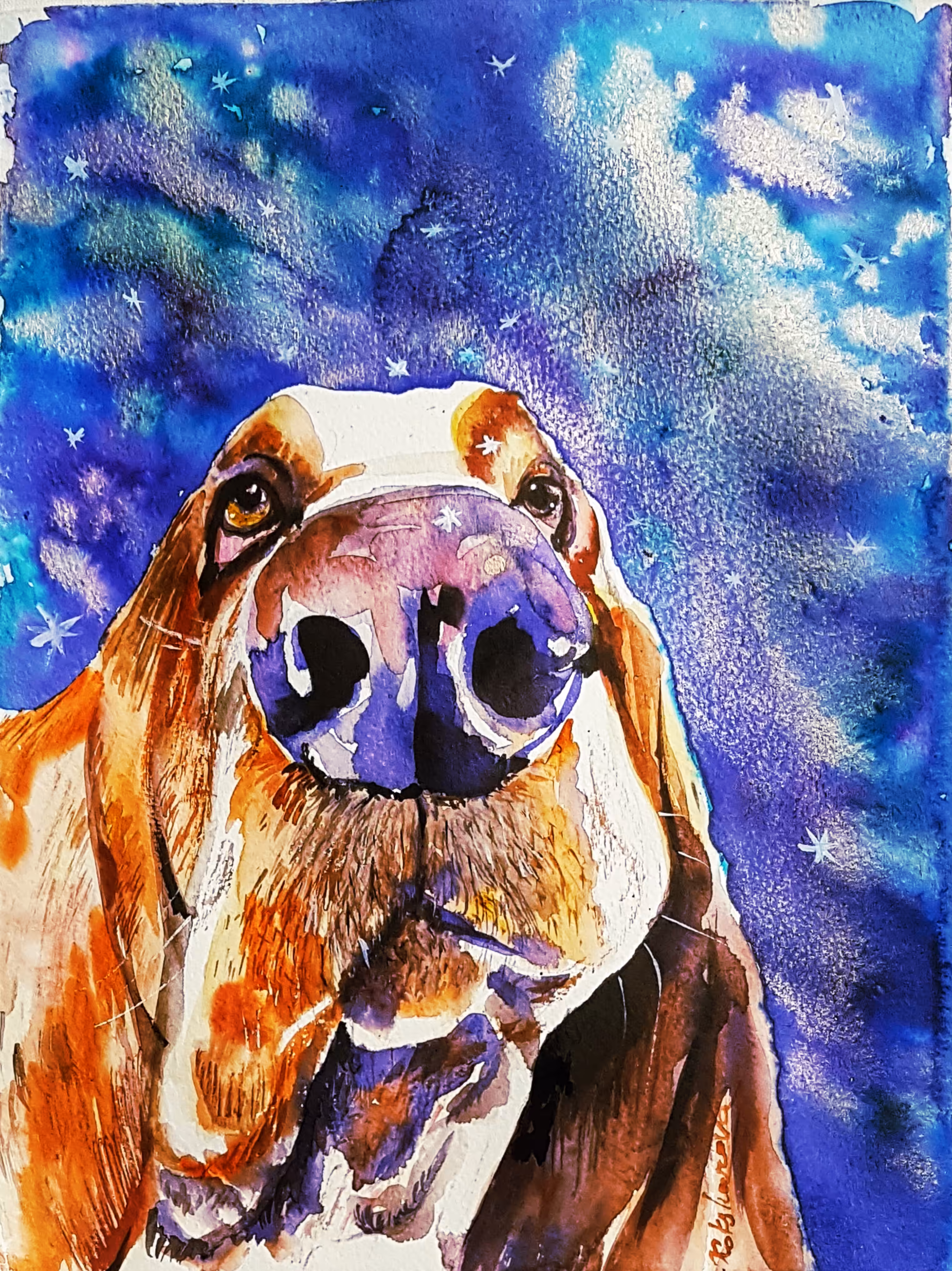 Basset