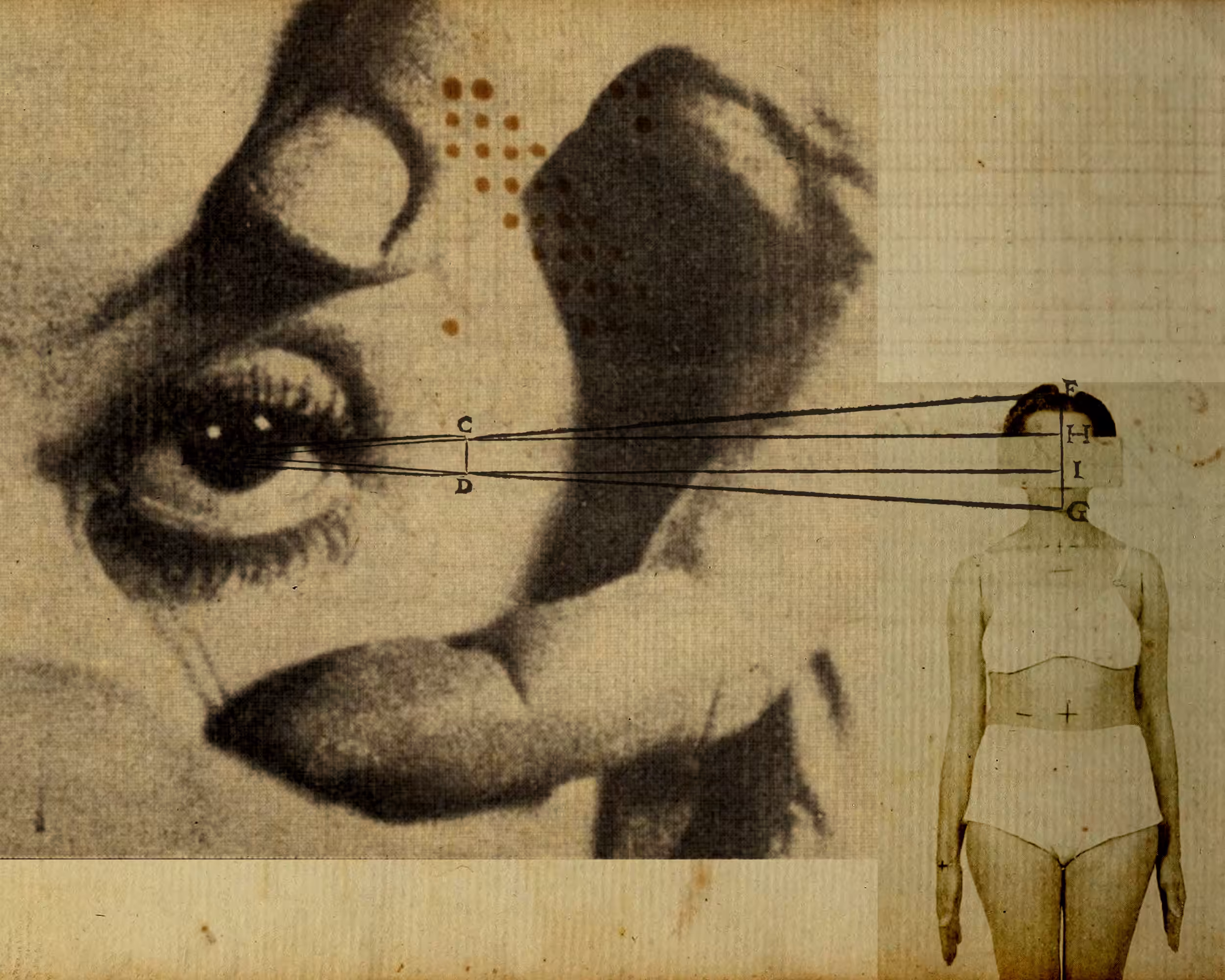Convulsive Beauty #20