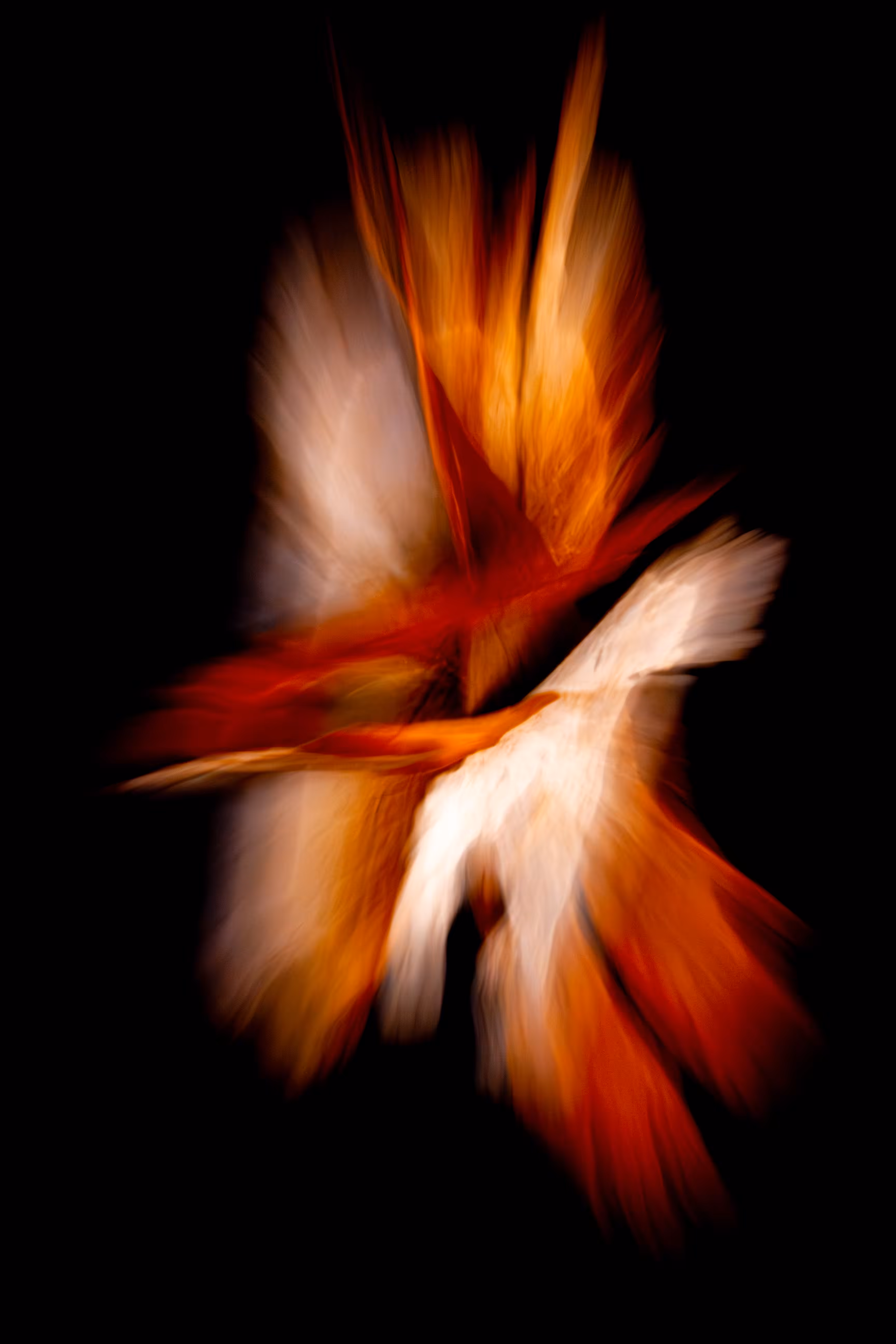 BARK