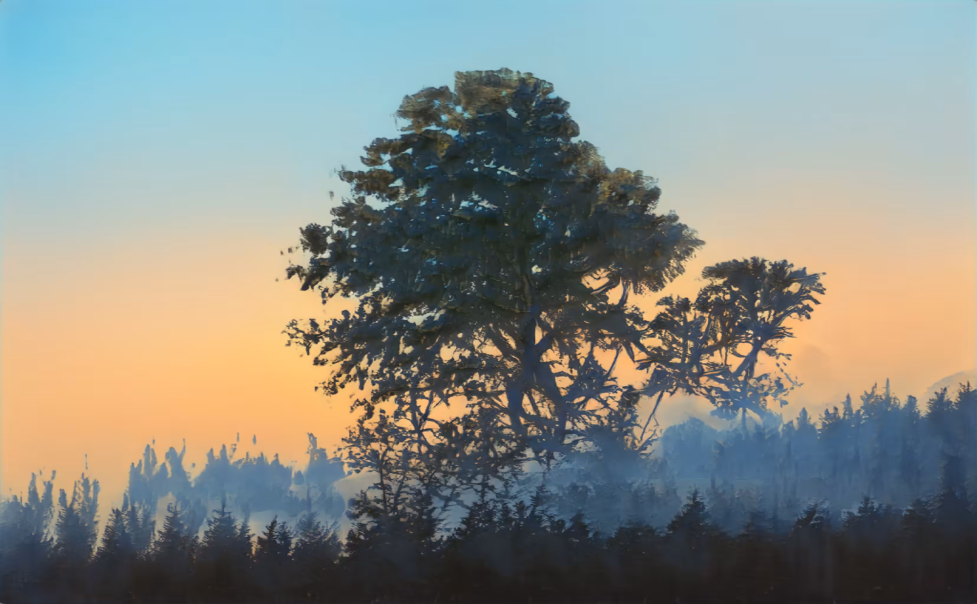 World Tree Sunrise