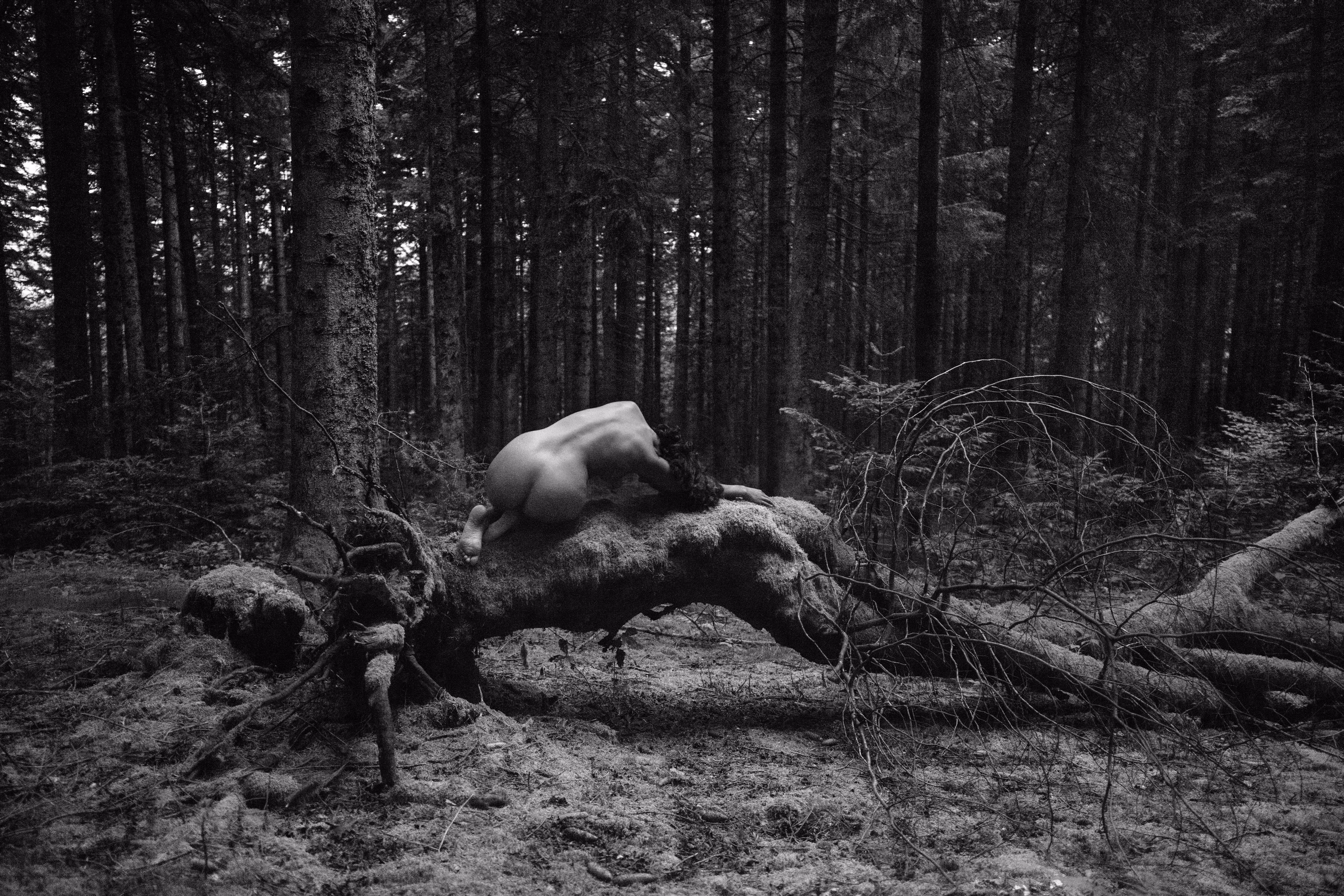 Forest sprit