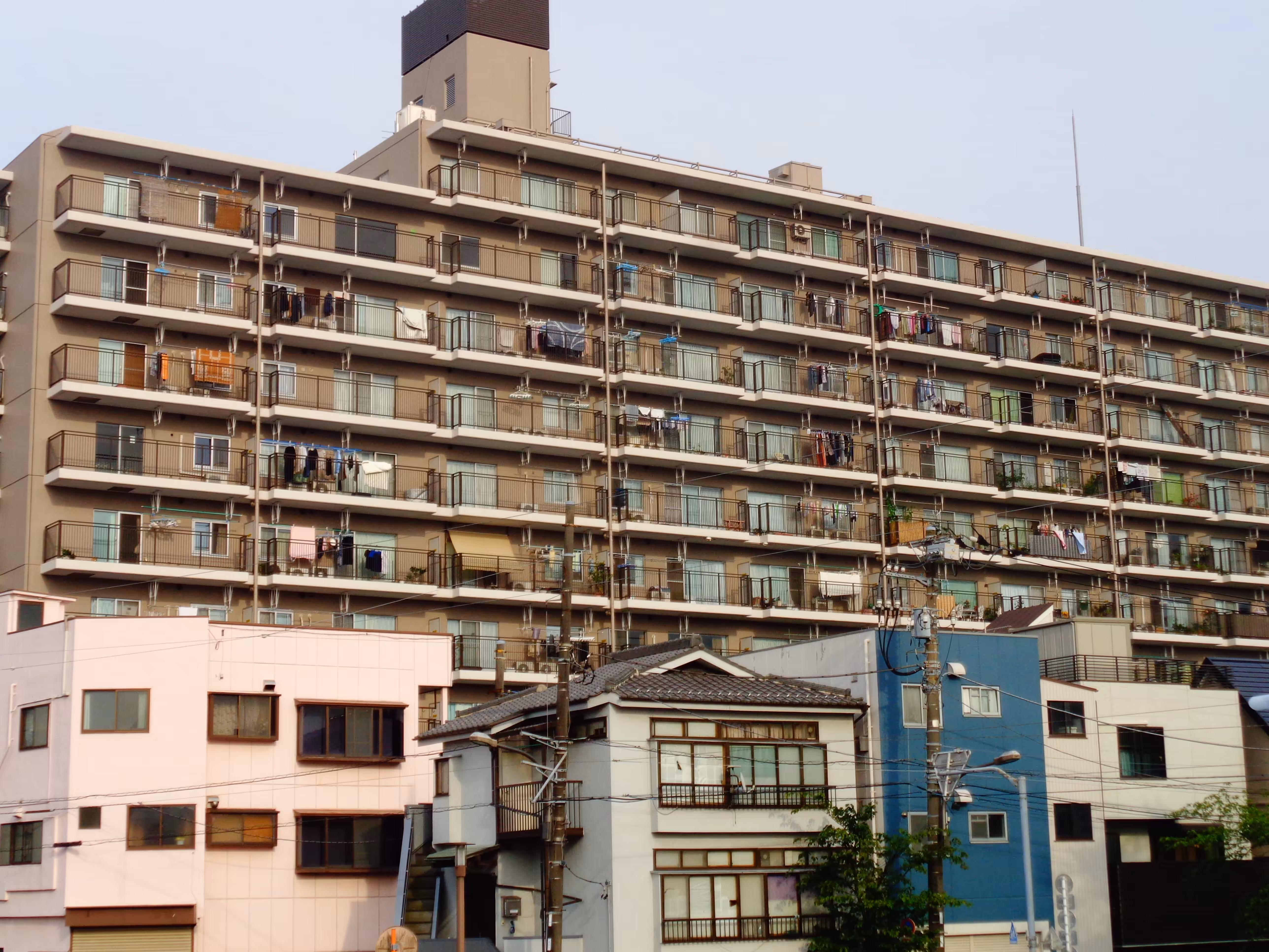 ojima 086