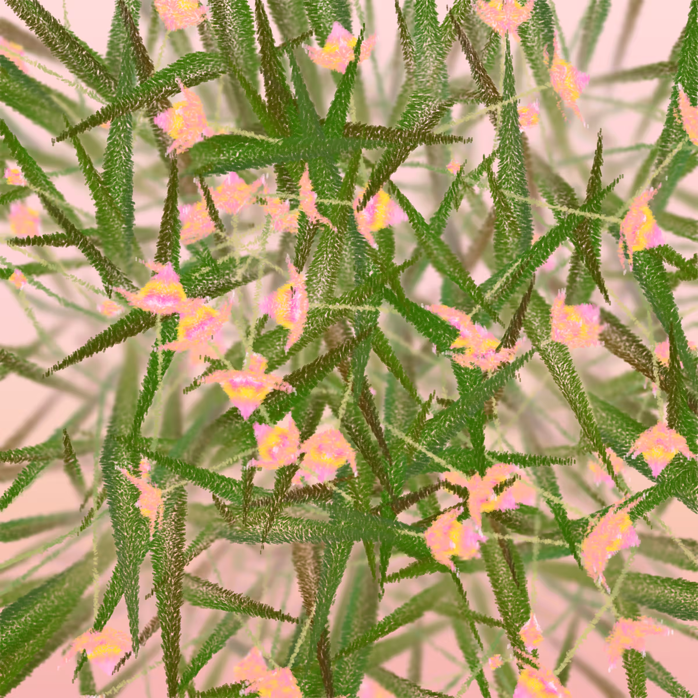 Cattleya #50