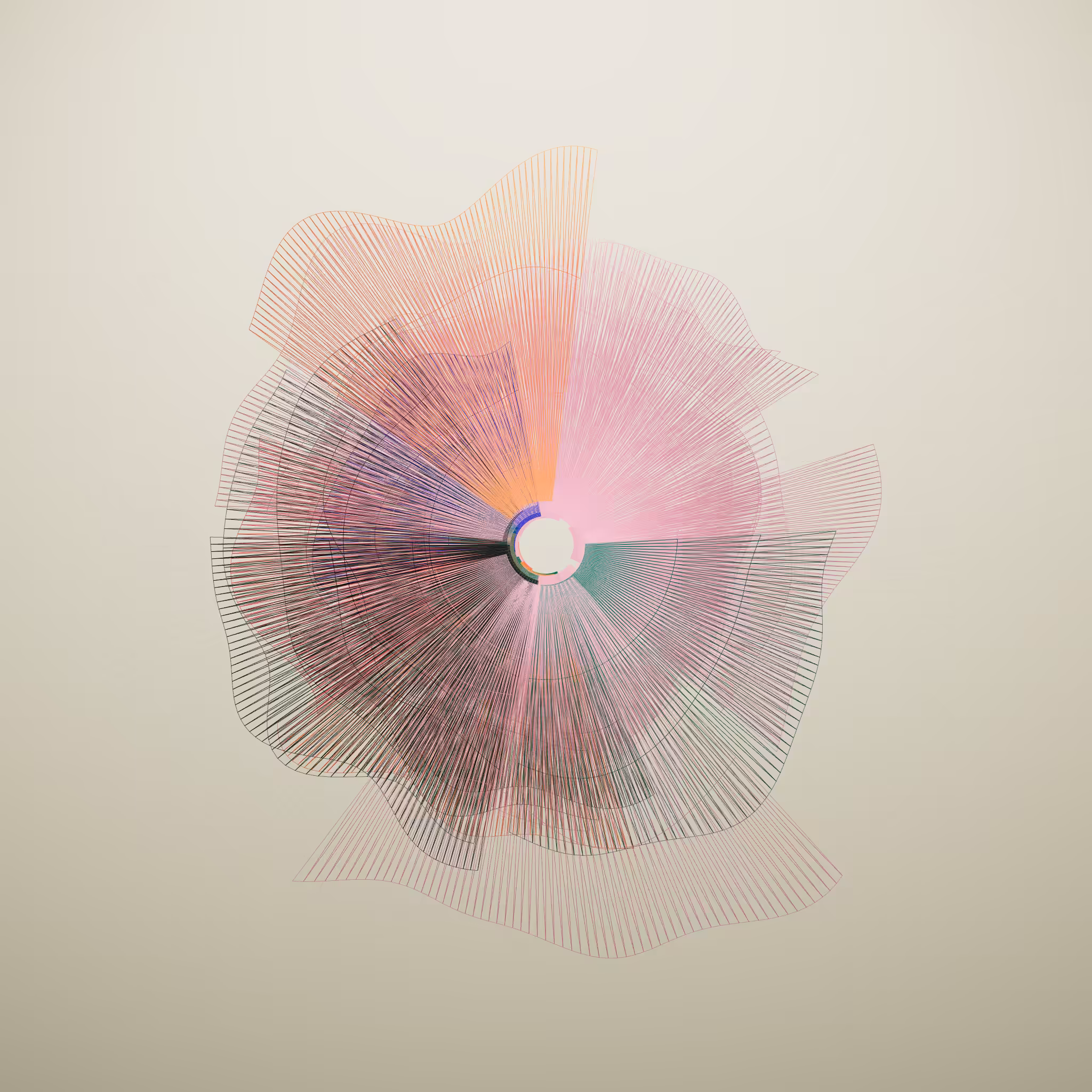 Supernova poppy #23
