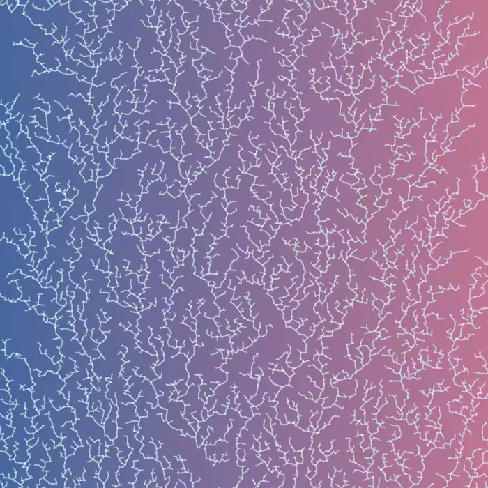 Frozen Windows #6