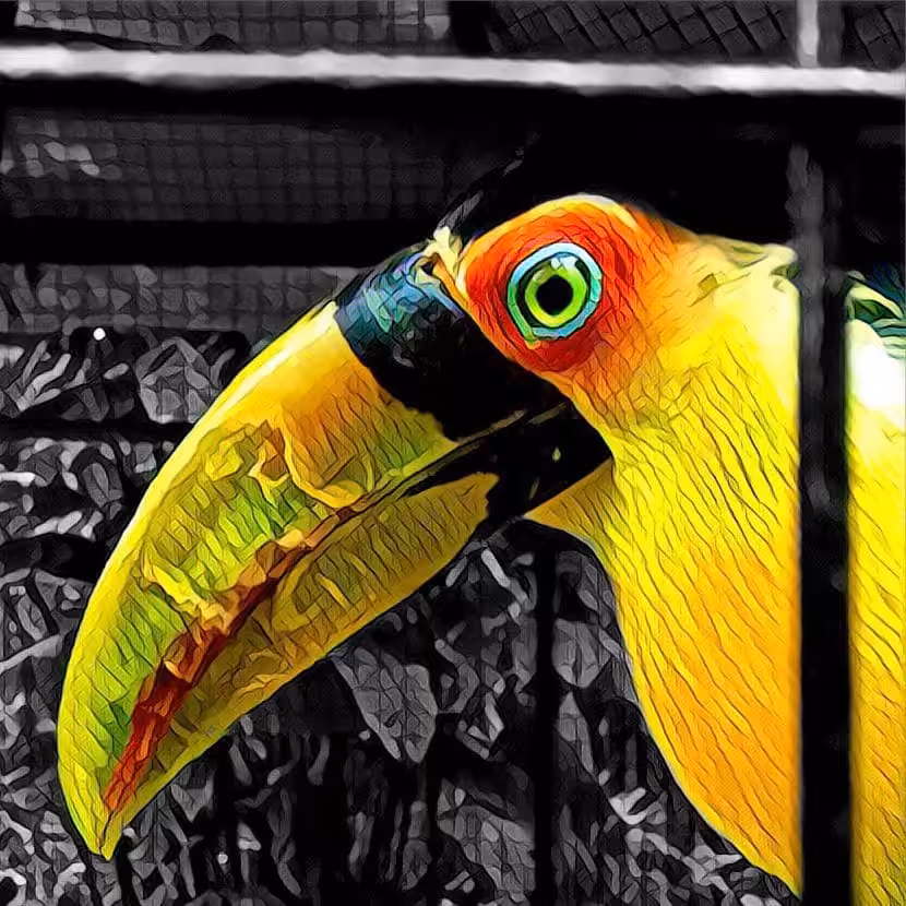 Ramphastidae