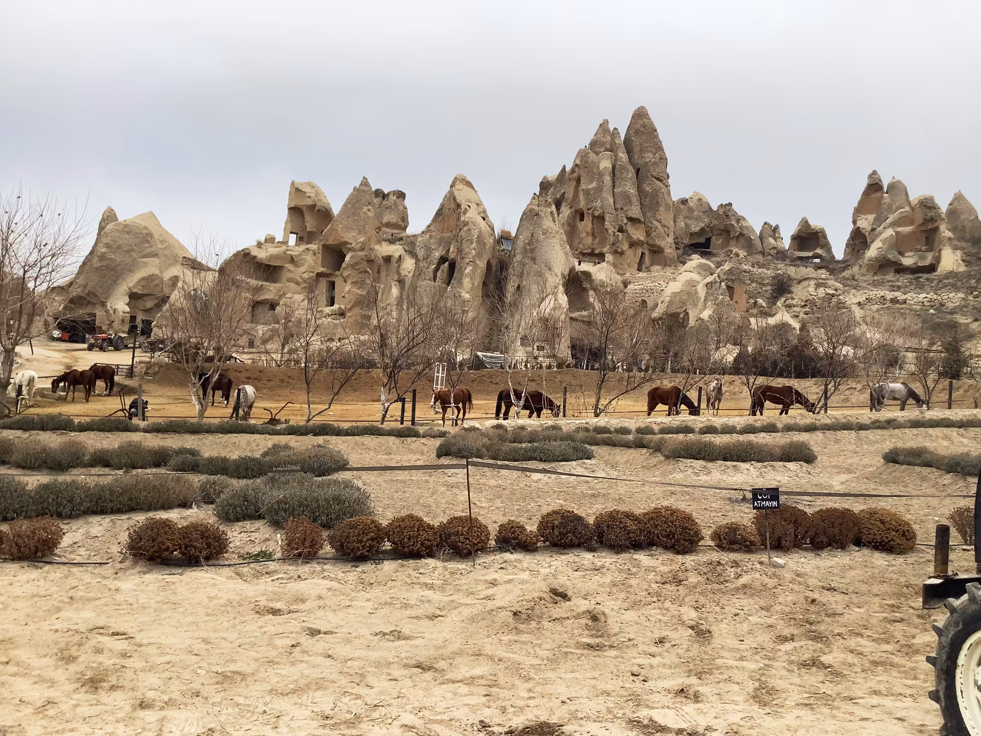 Cappadocia, Goreme, Turkiye