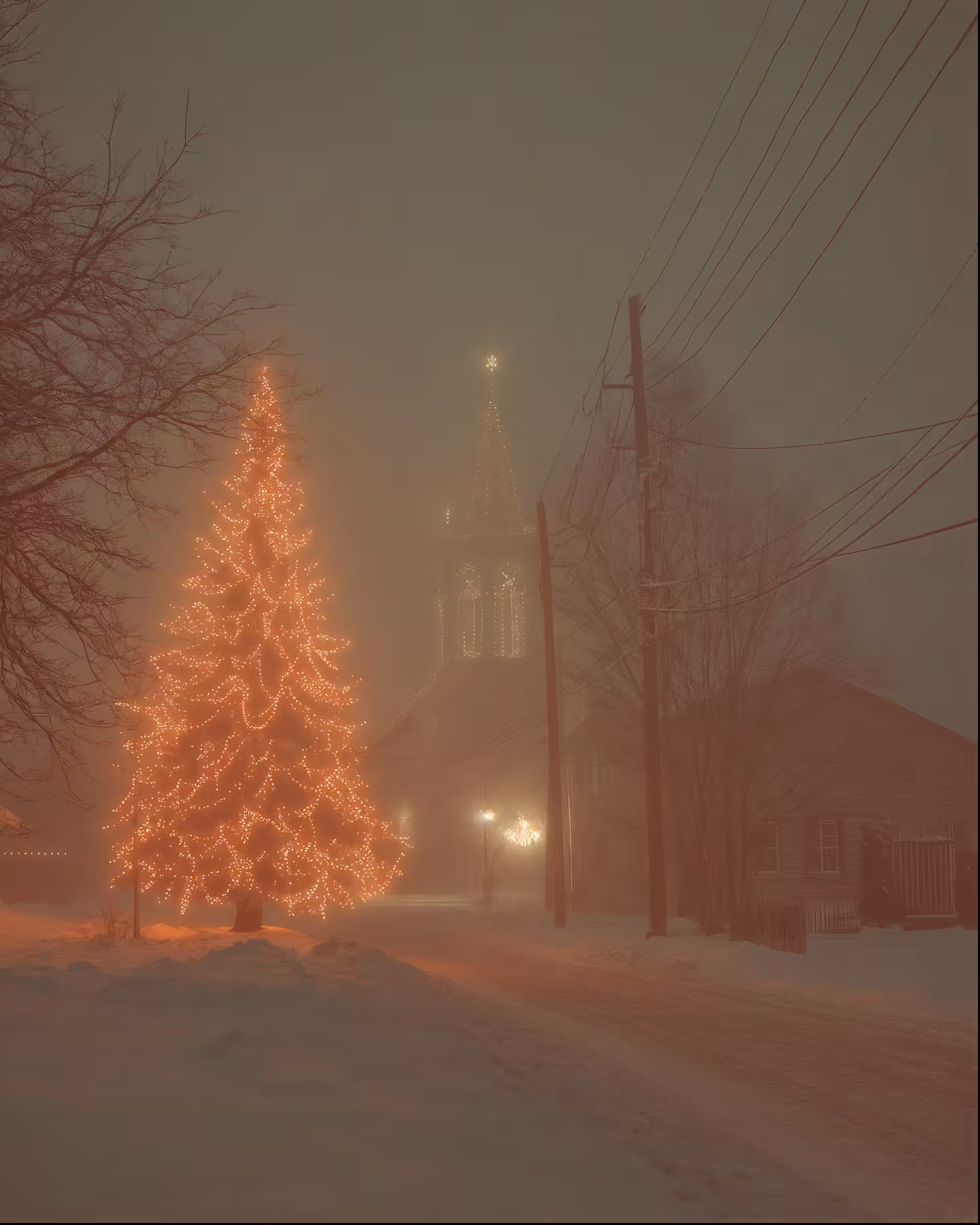 Christmas in the suburbs (2)