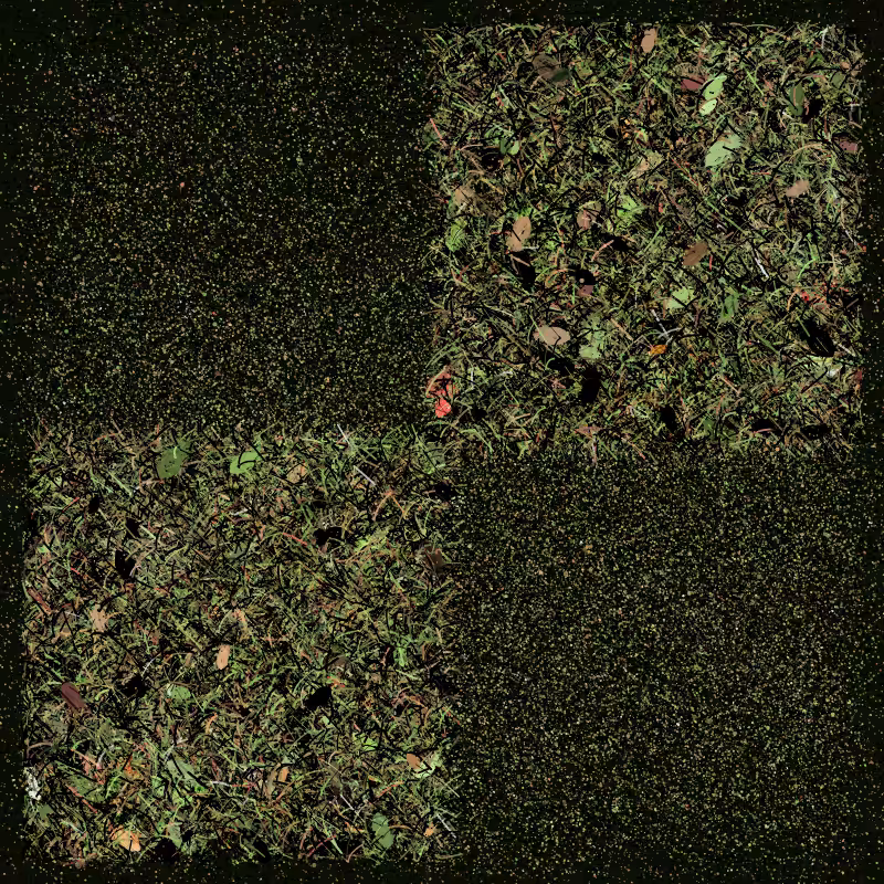 Into the Forestland #1