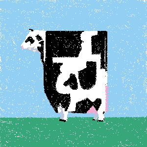 cow #18
