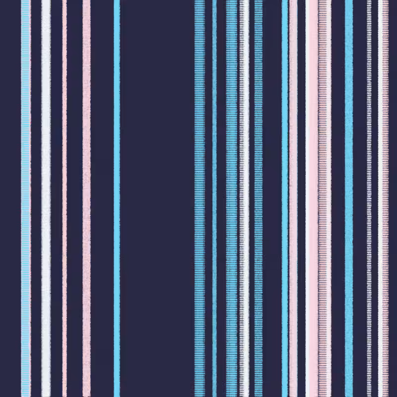 Stripes #39
