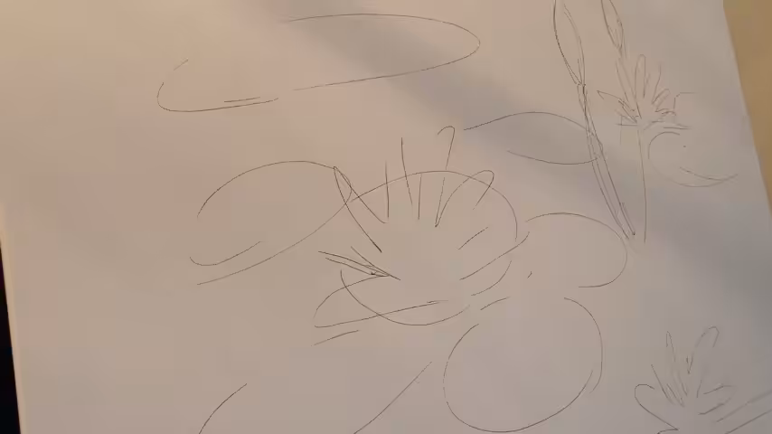 Lotus No.01