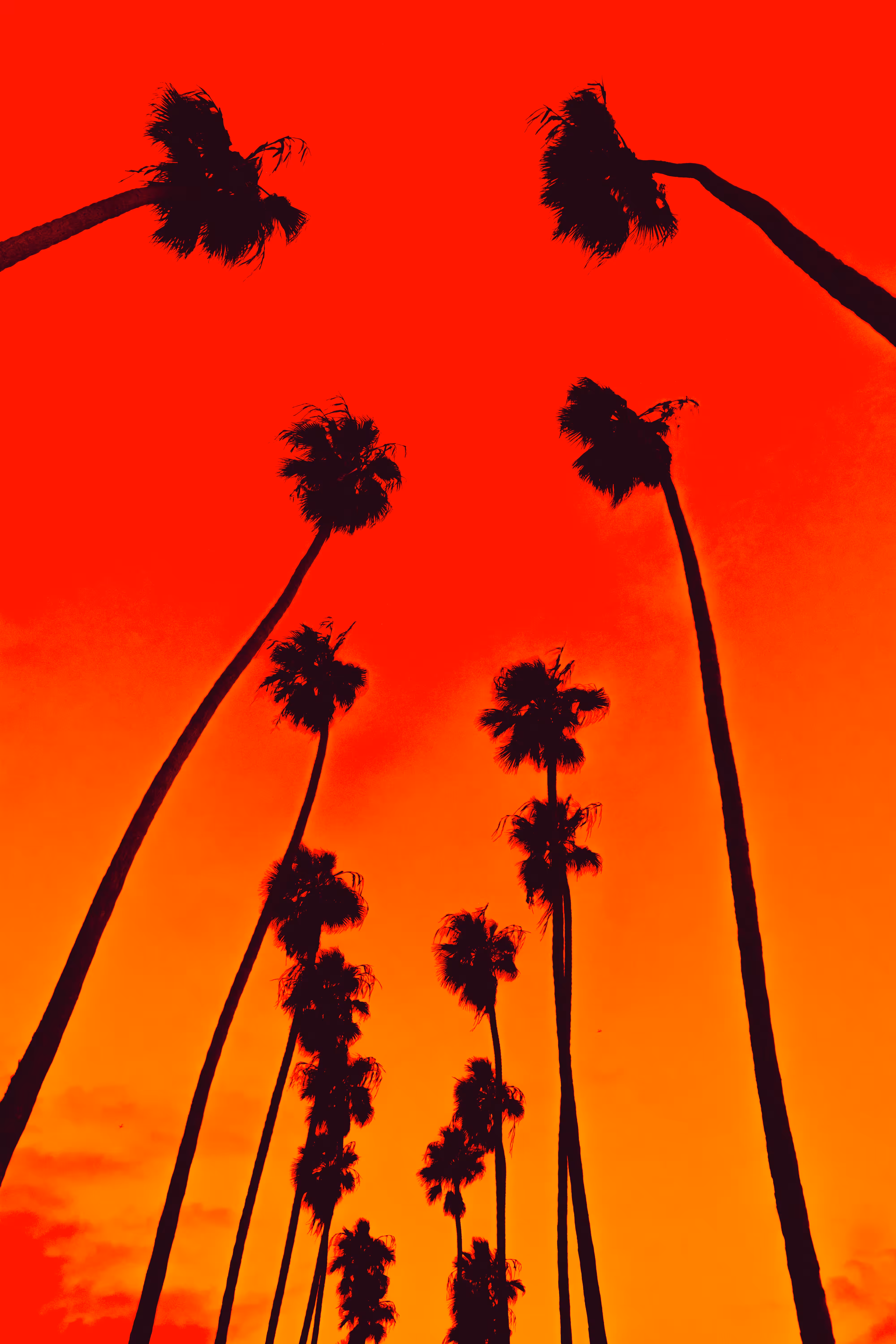 WN Visions: 0015 - "Digital Vacation"